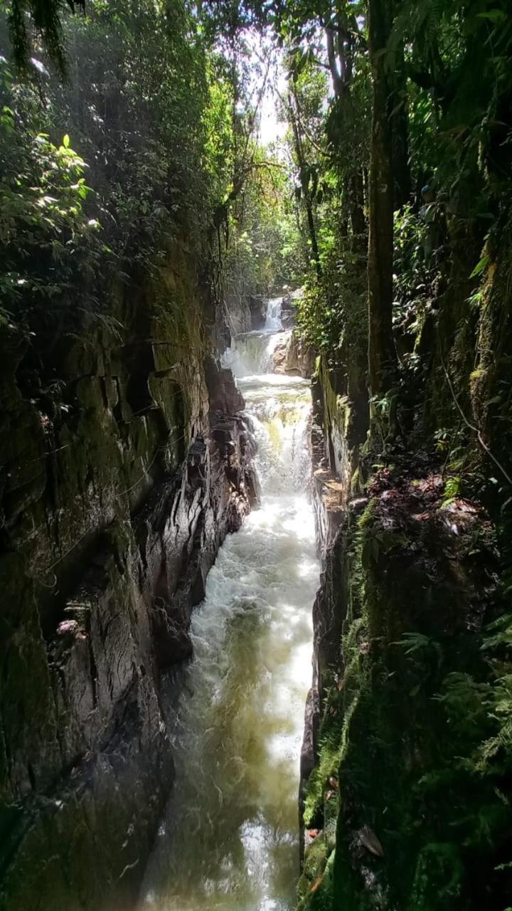 Finca Curva de Paraíso
