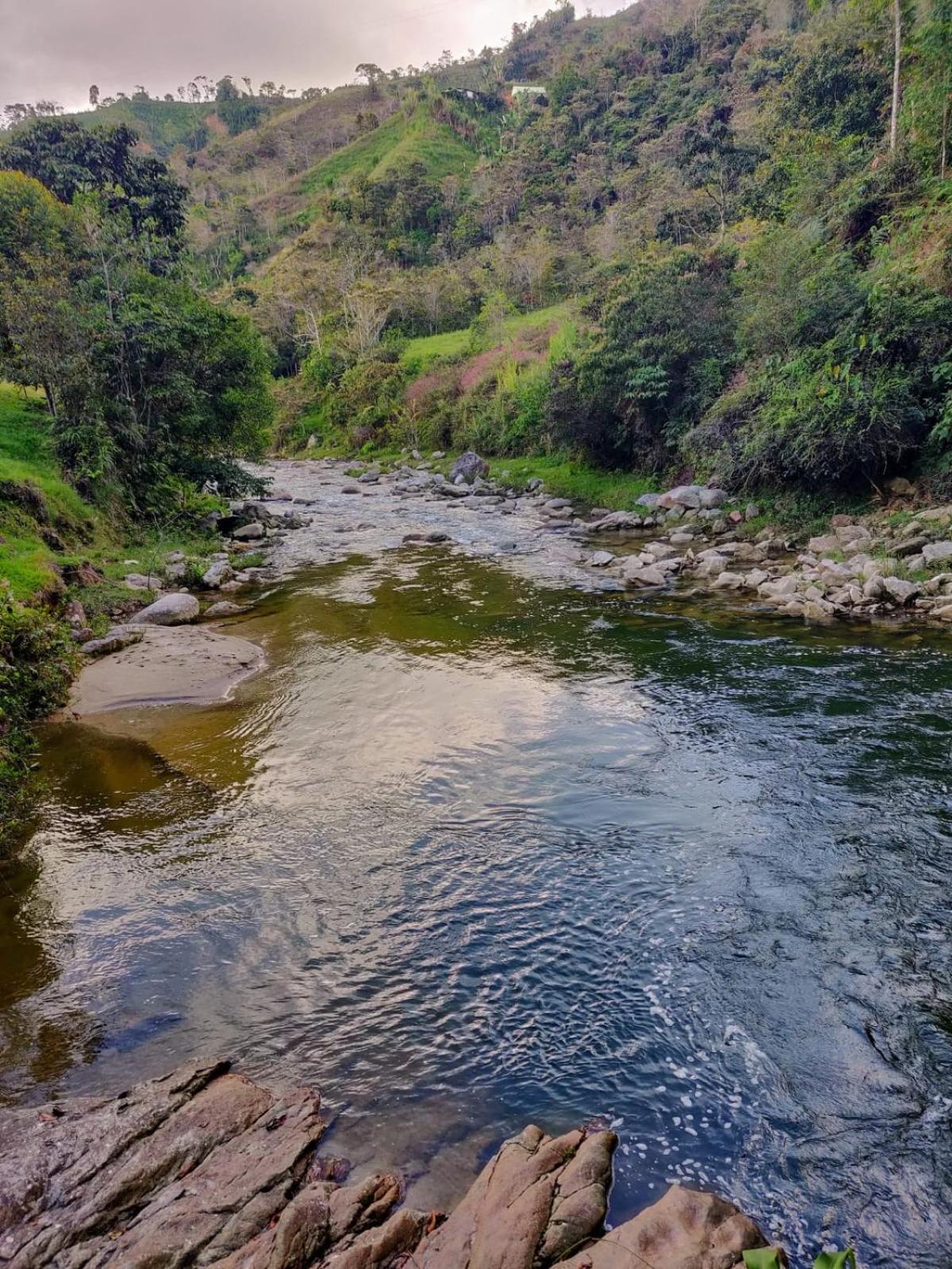 Finca Curva de Paraíso