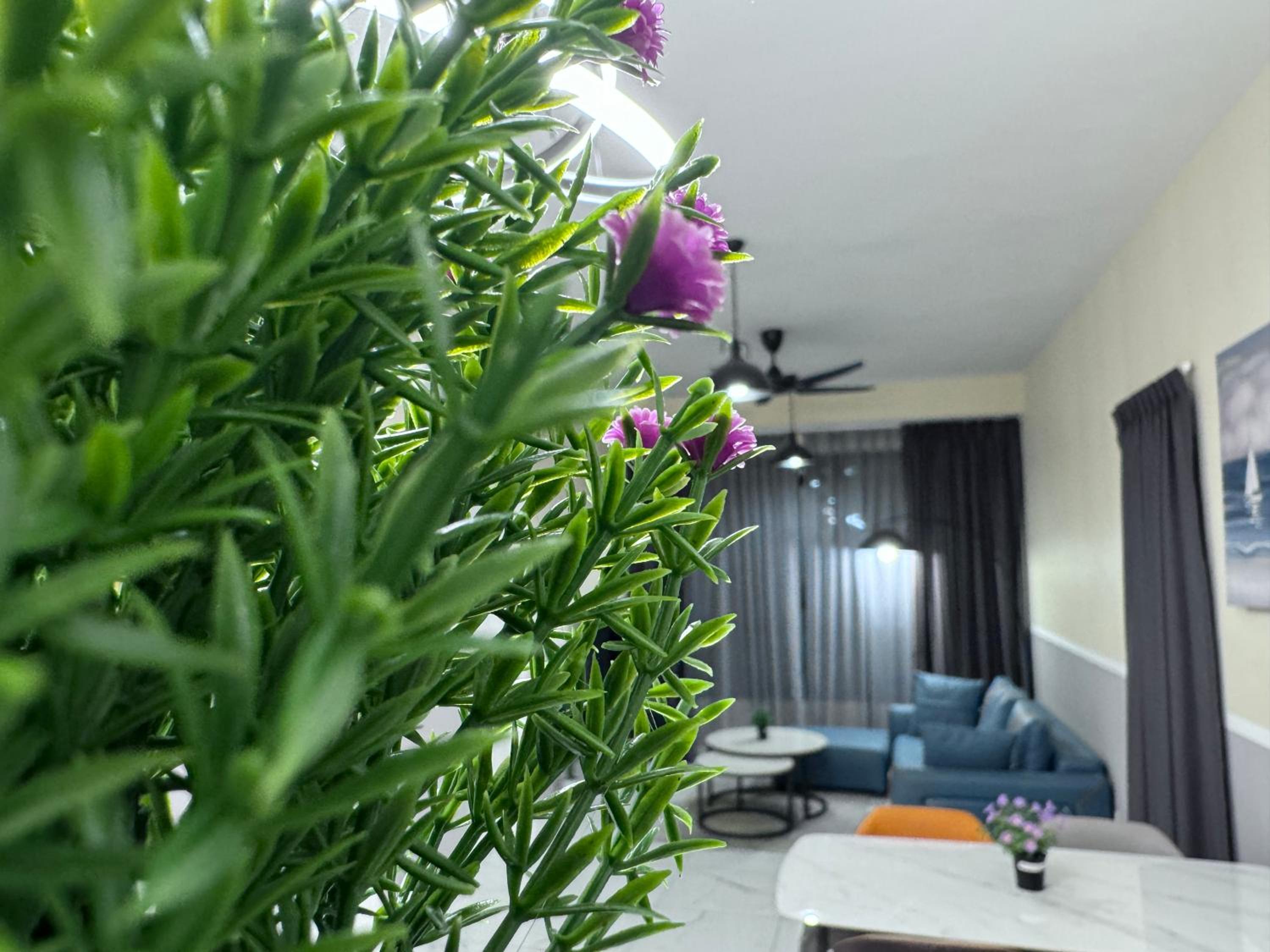 Cubic Botanical ANCUBIC, Bangsar South, Midvalley, Kuala Lumpur by HomeTaric