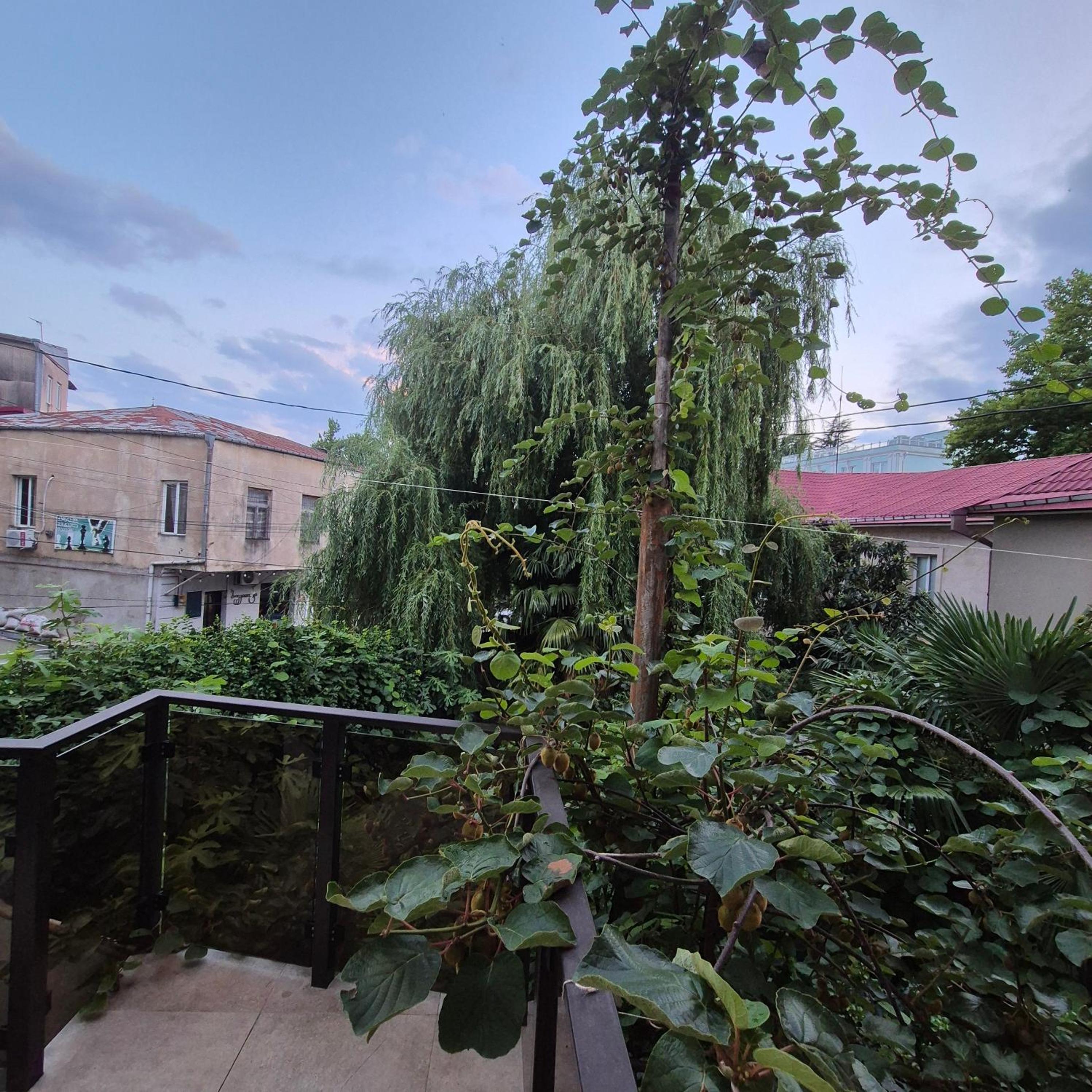 Photo 18
