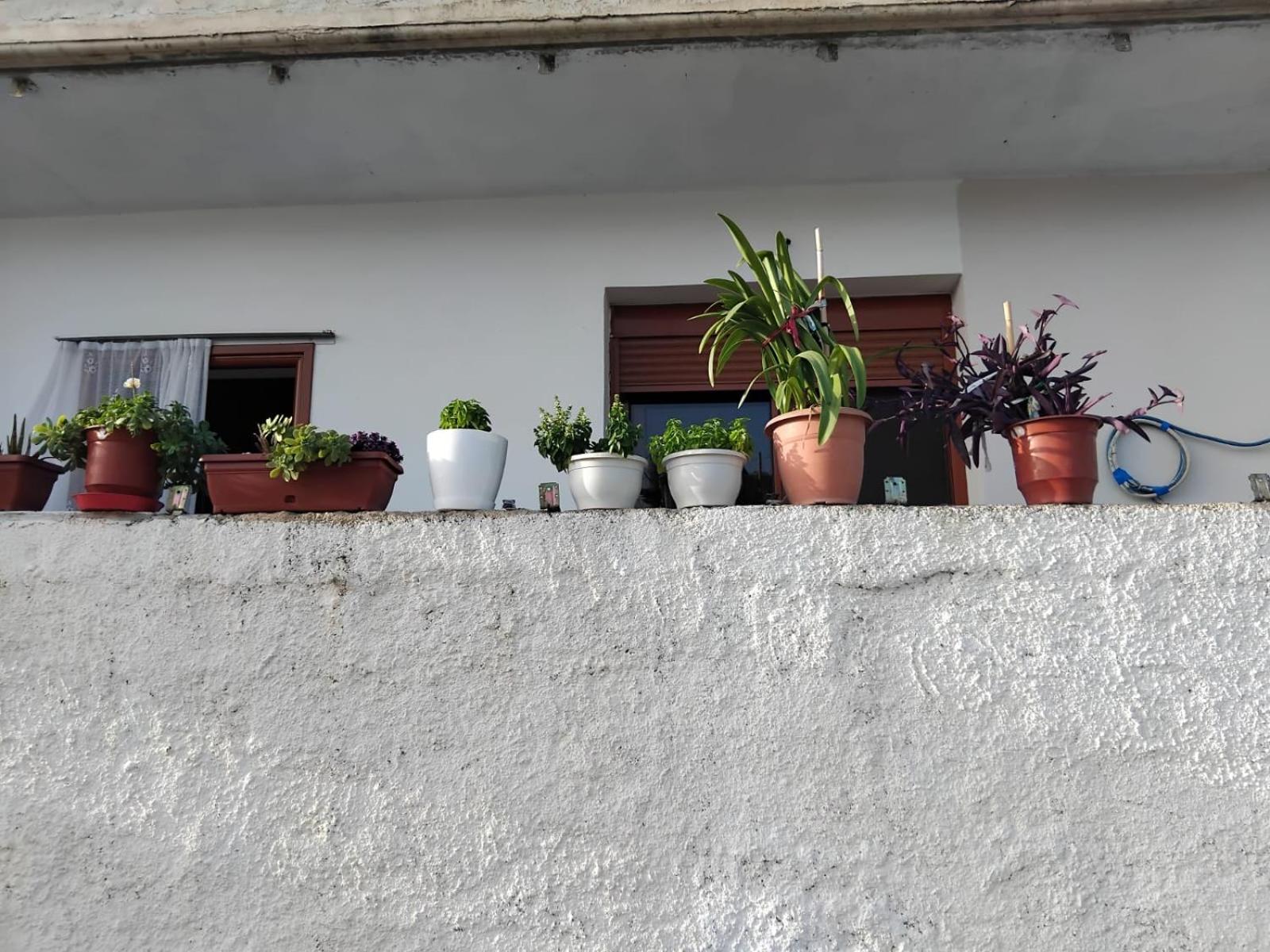 Casa di tomi