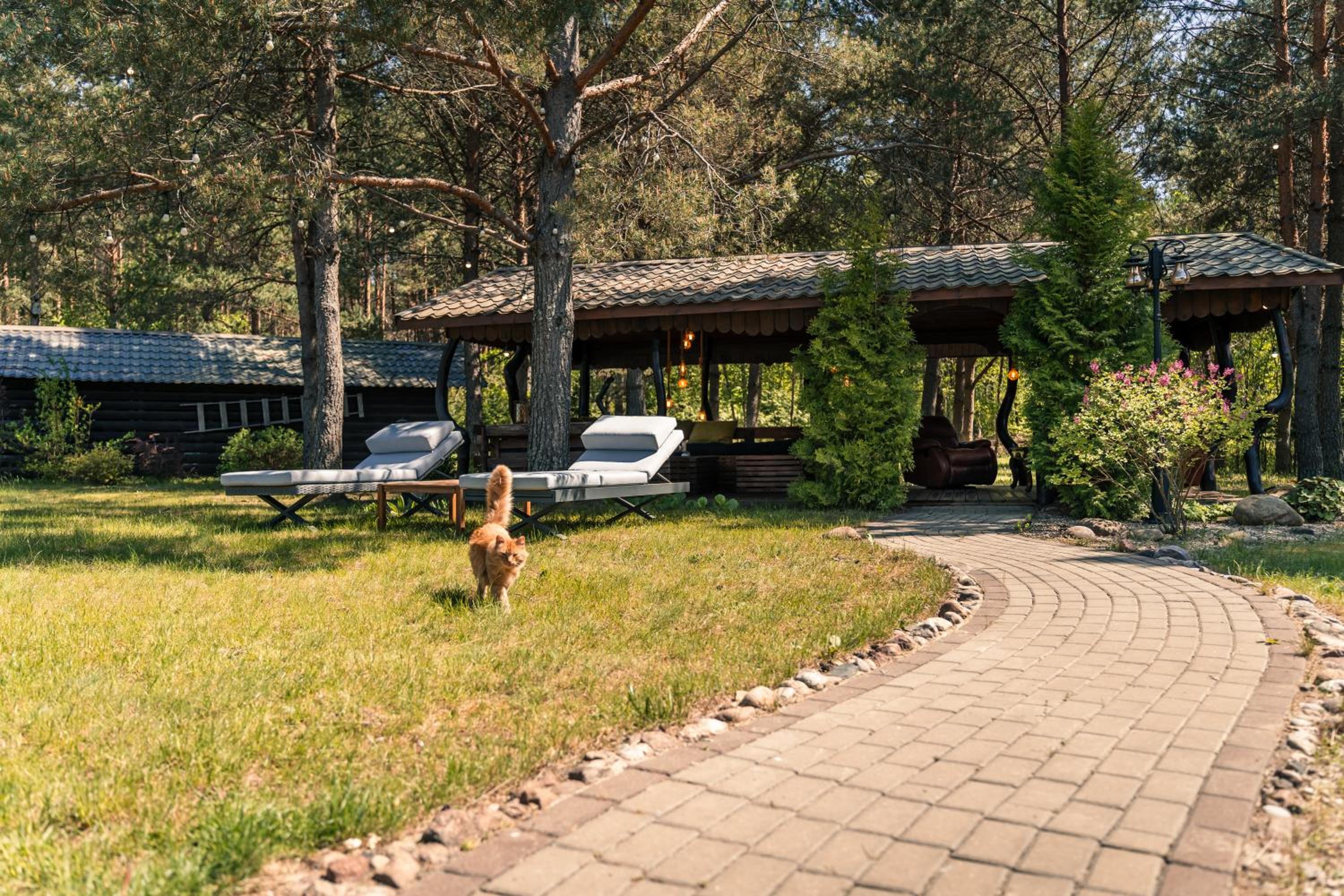 Paežerės istorijos near Druskininkai