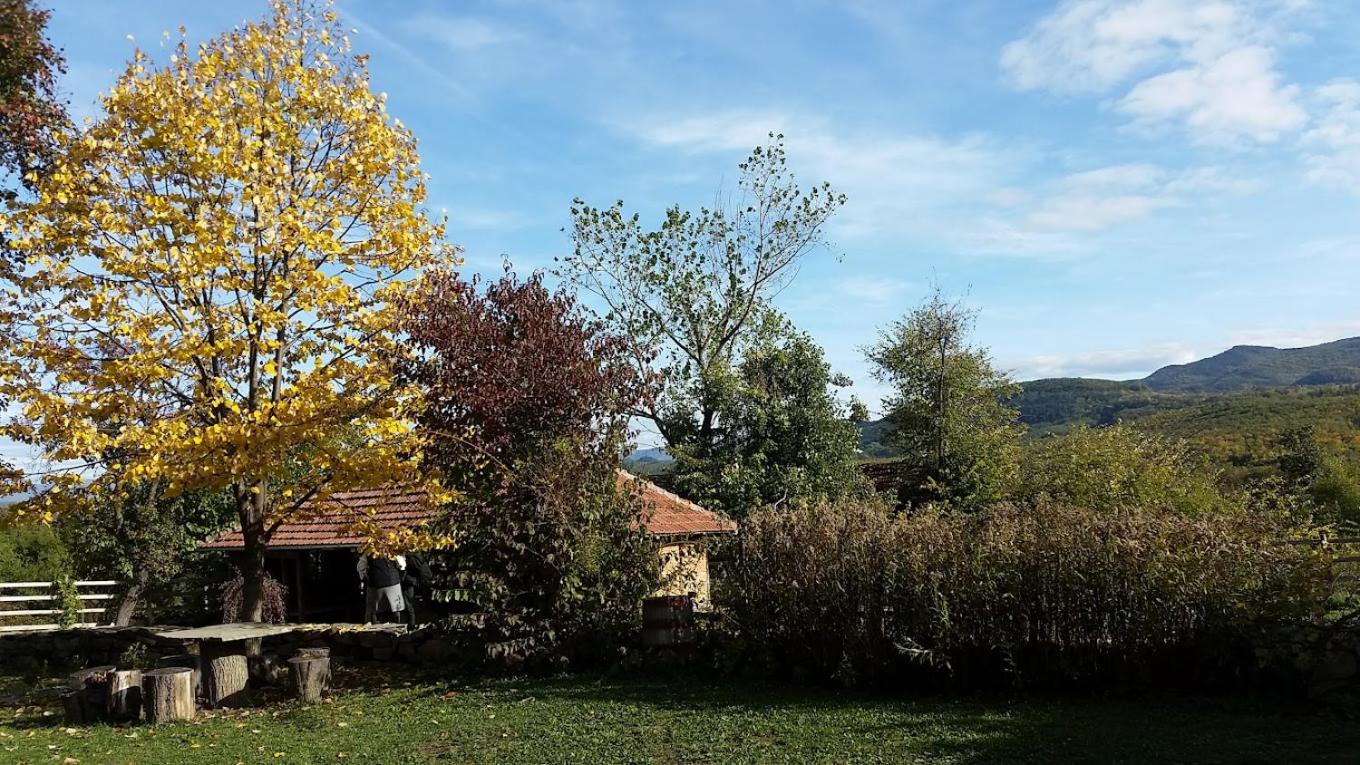 The Centre