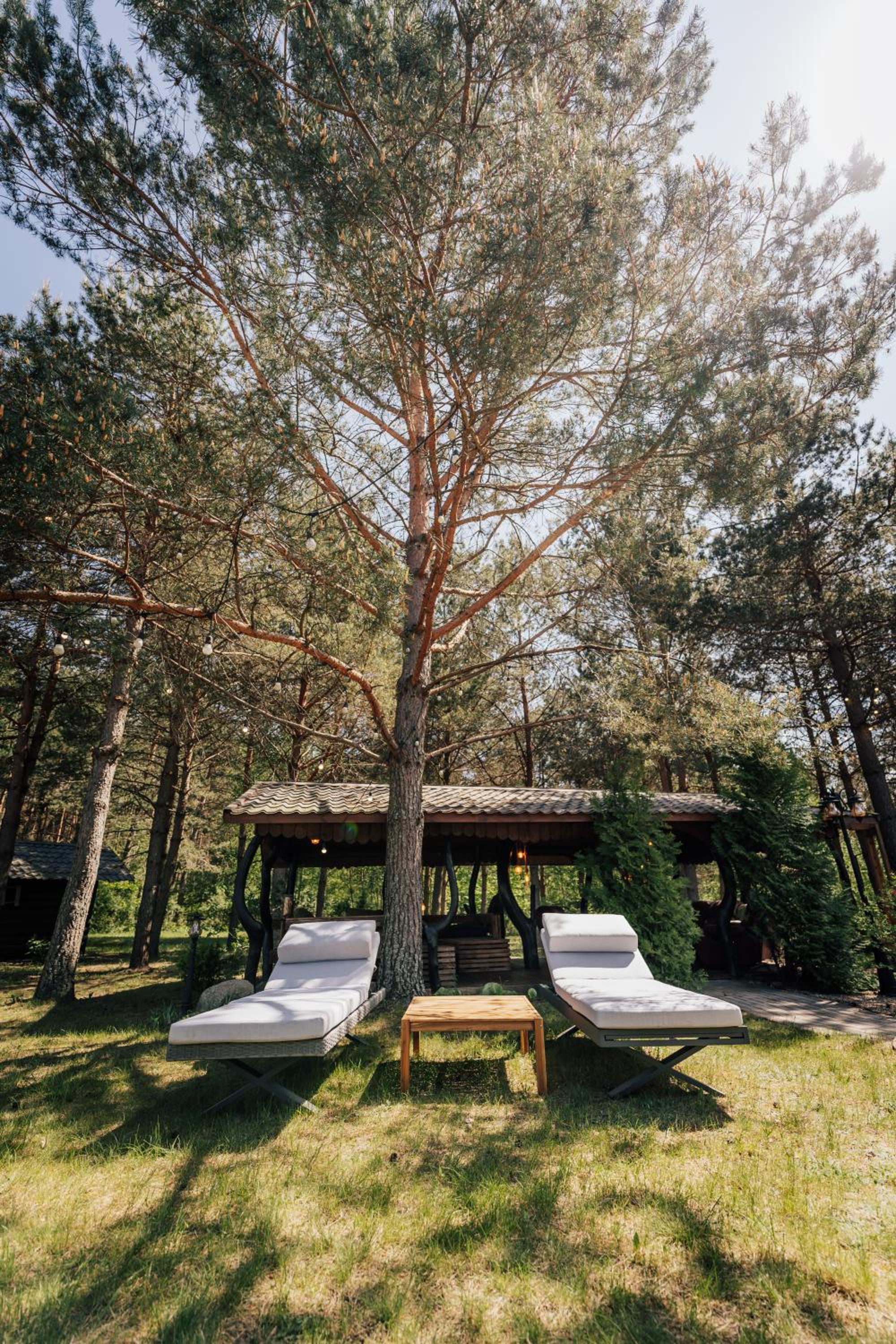 Paežerės istorijos near Druskininkai