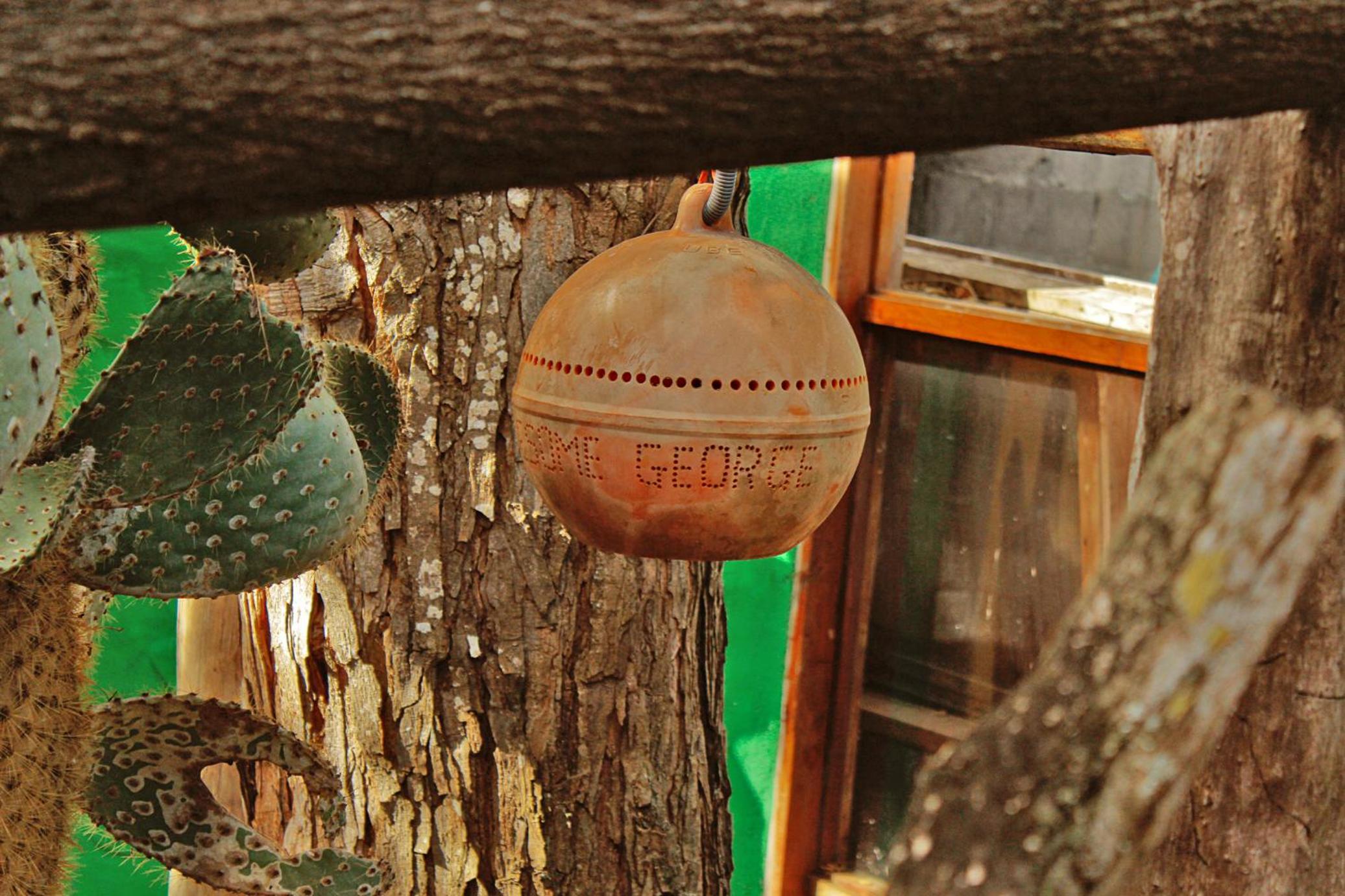 Lonesome George Ecolodge