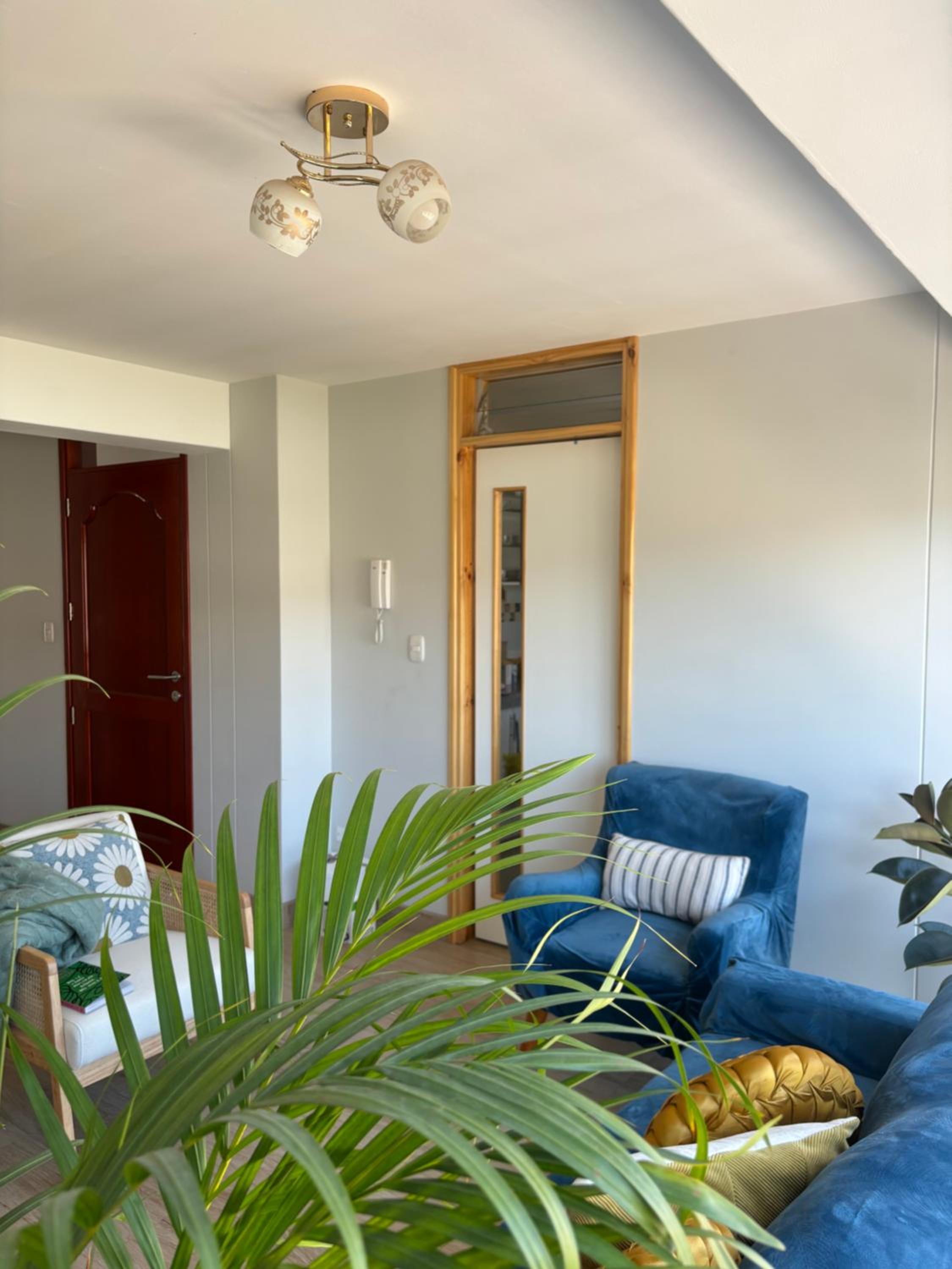 Apartamento con Plantas en Cusco view 2