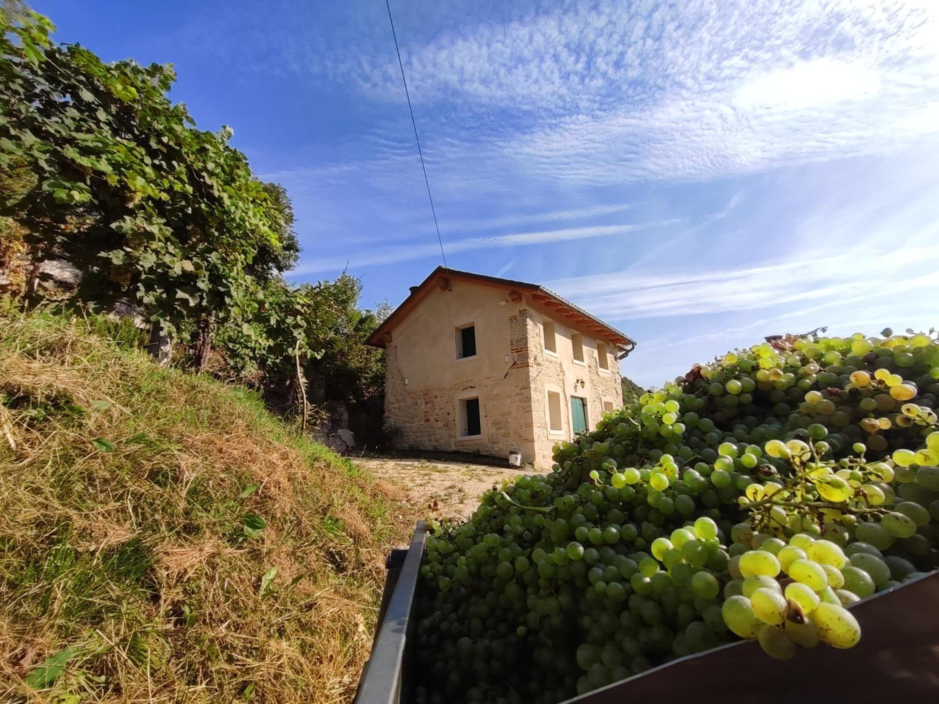 Sul Collagù view 5