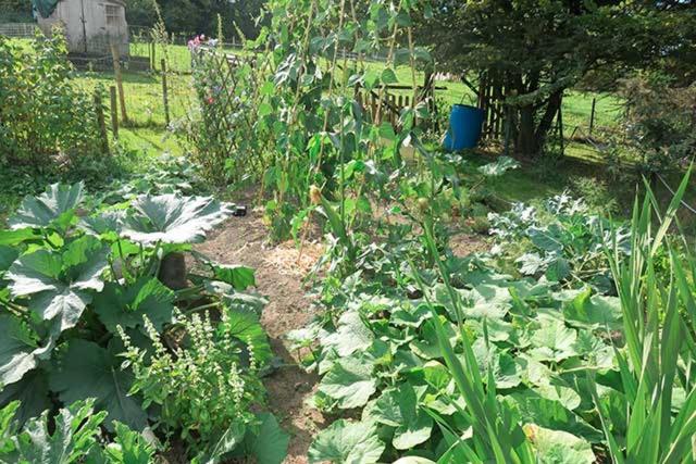 B&B Ferme du Petit Breuil