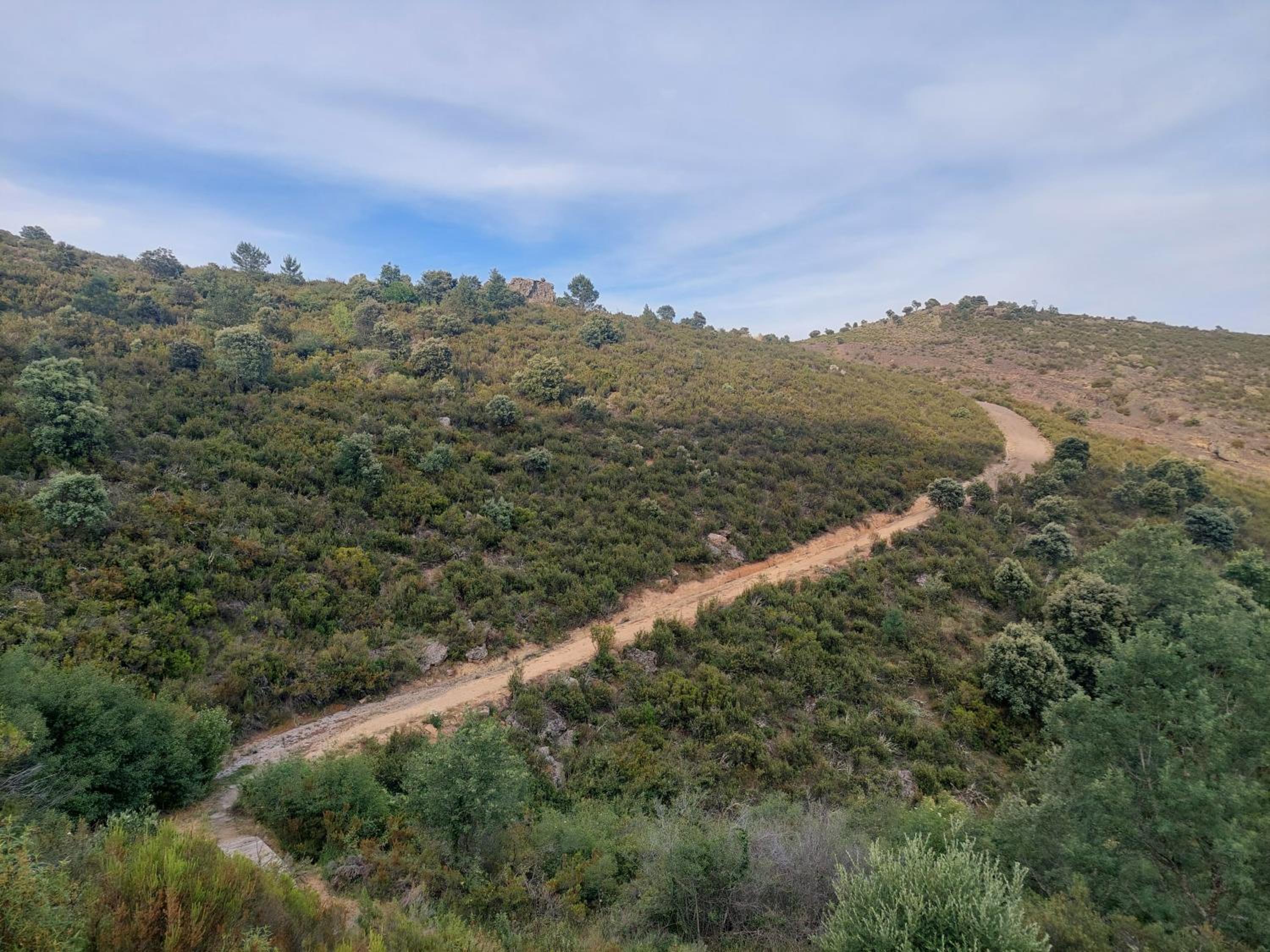 Las Peonías Casa Rural
