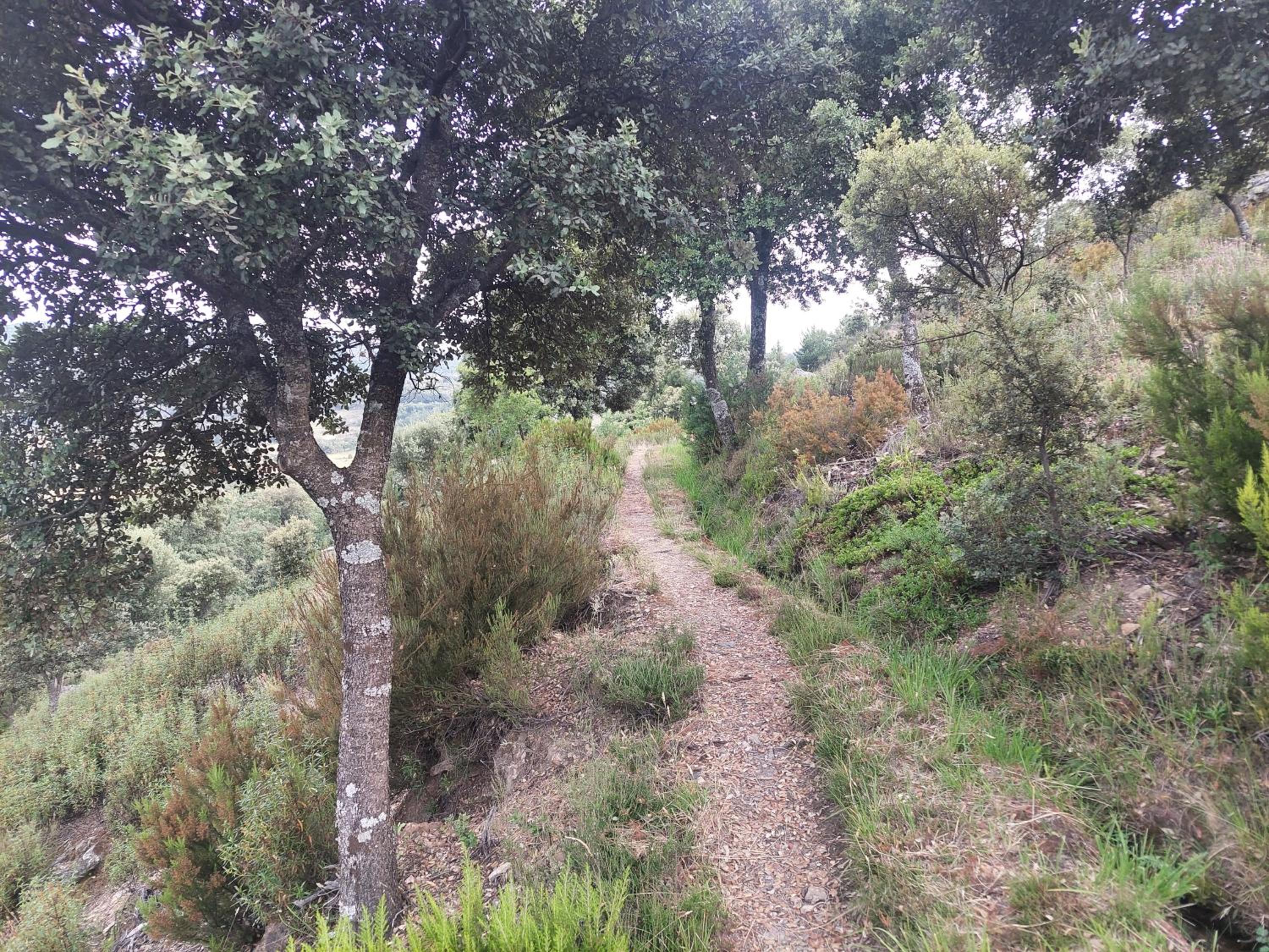 Las Peonías Casa Rural