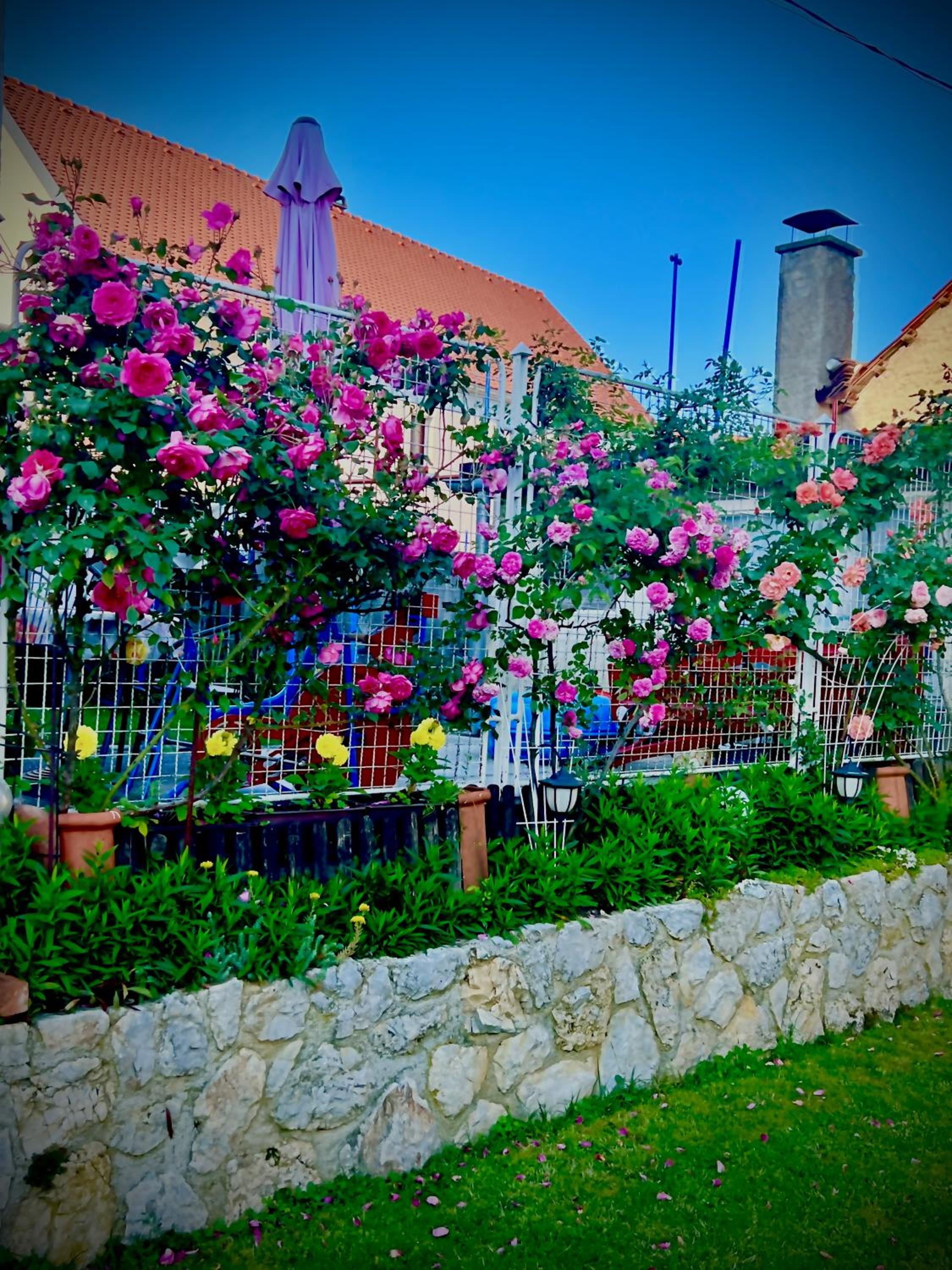 Apartments Dajčić