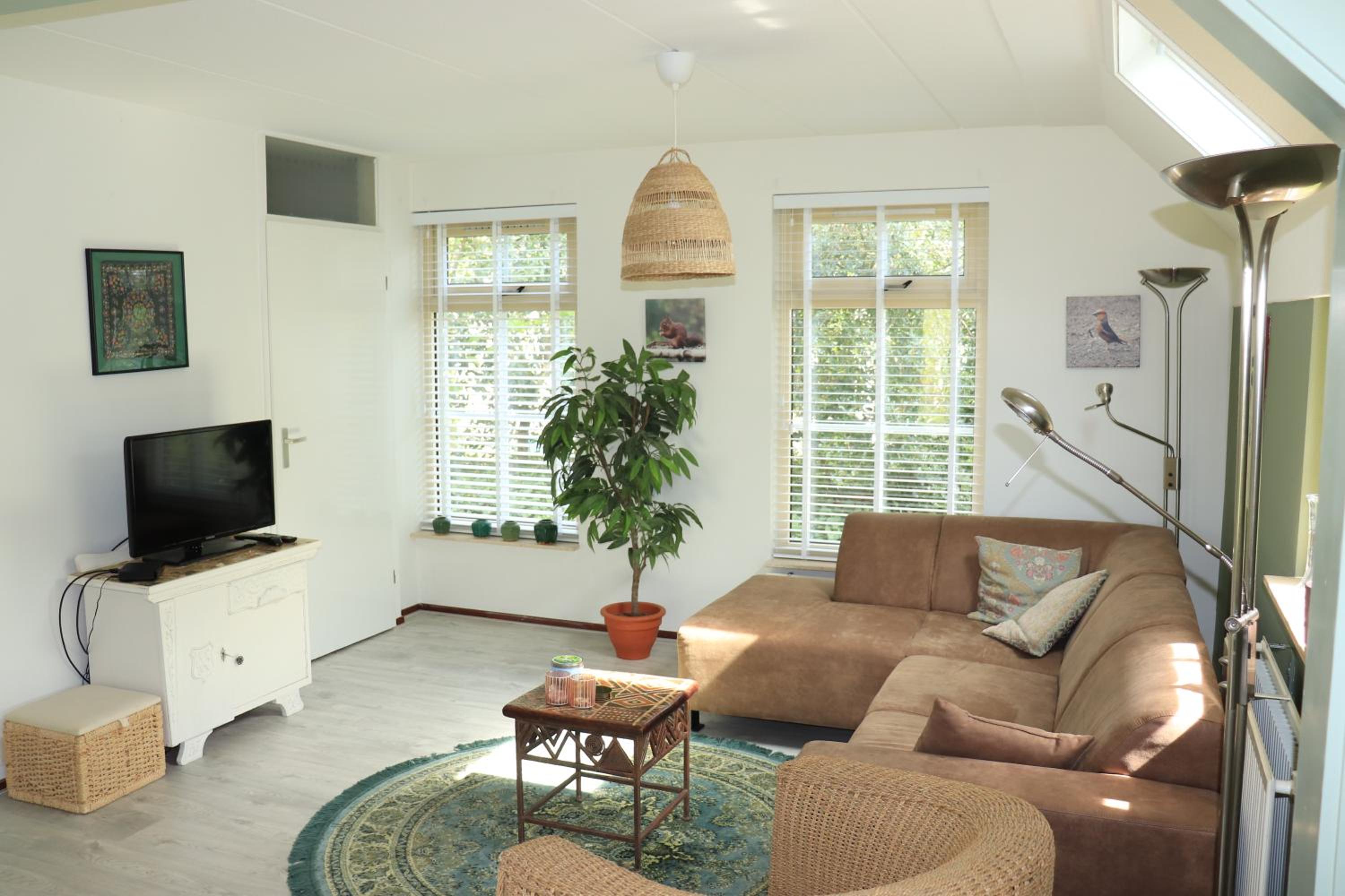 Photo 11