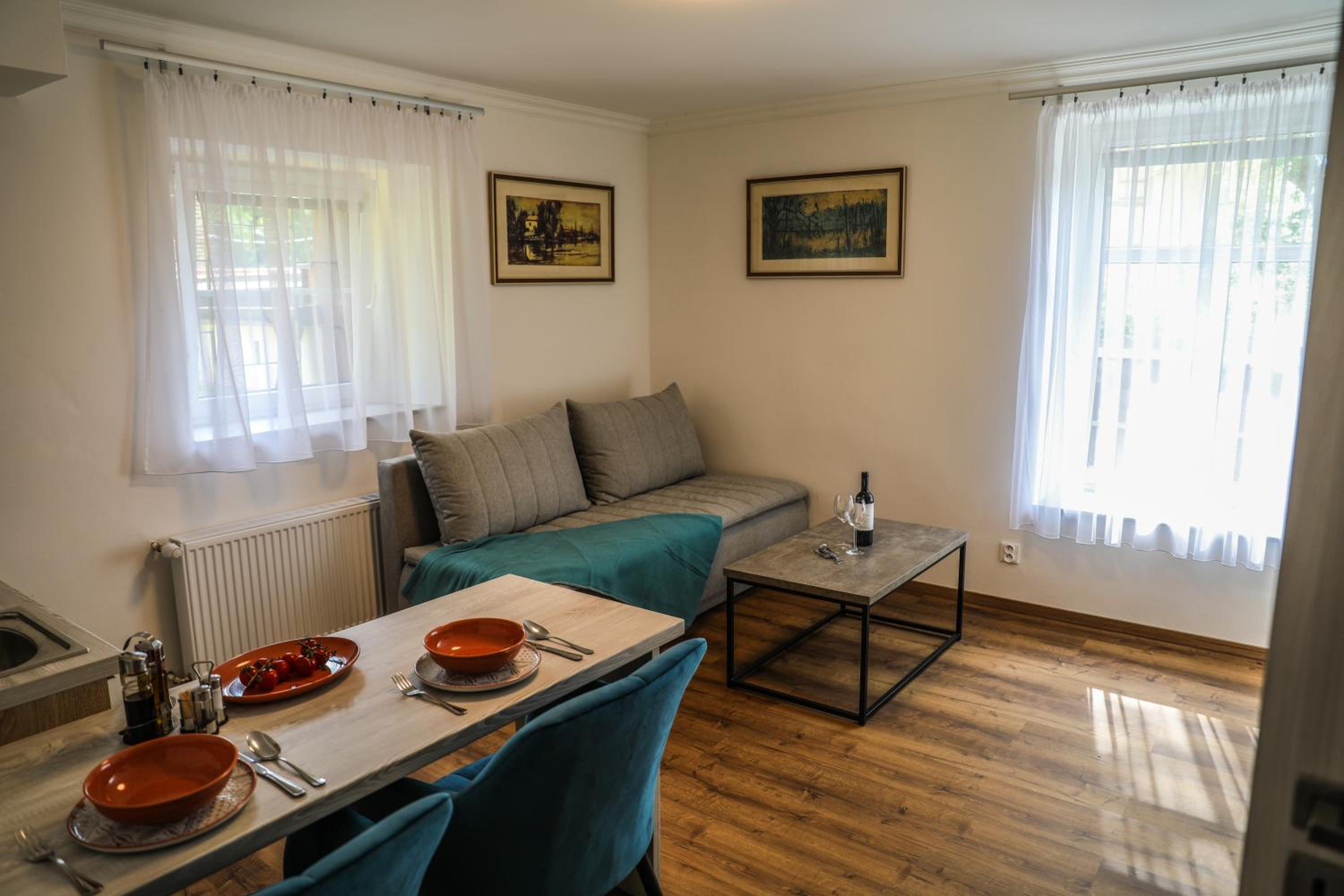 Apartment Irma