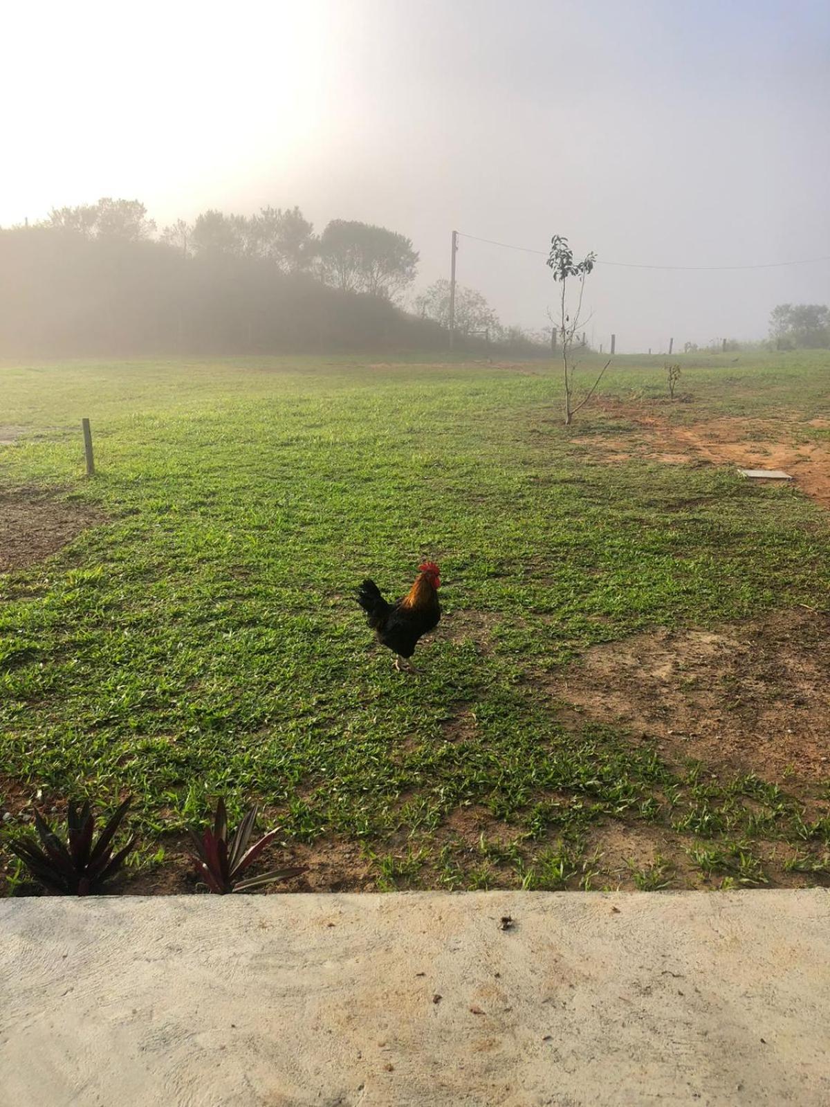 Chalé Guiados Pelo Alto