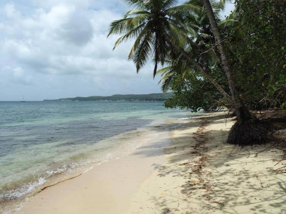 L'Ecrin d'Oliv - Jardin, Accès plage, Calme assuré