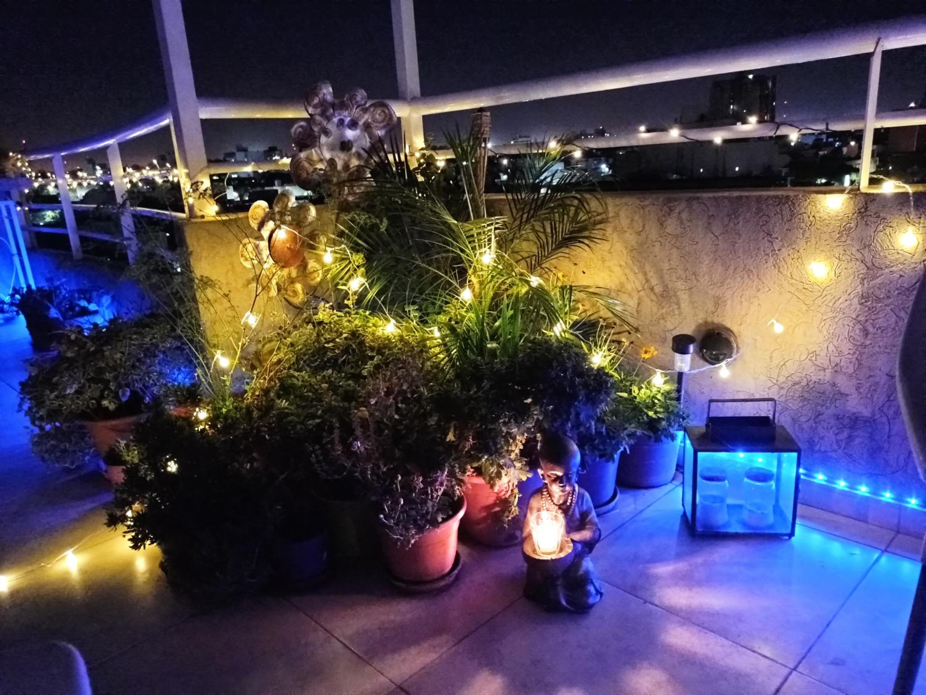roof