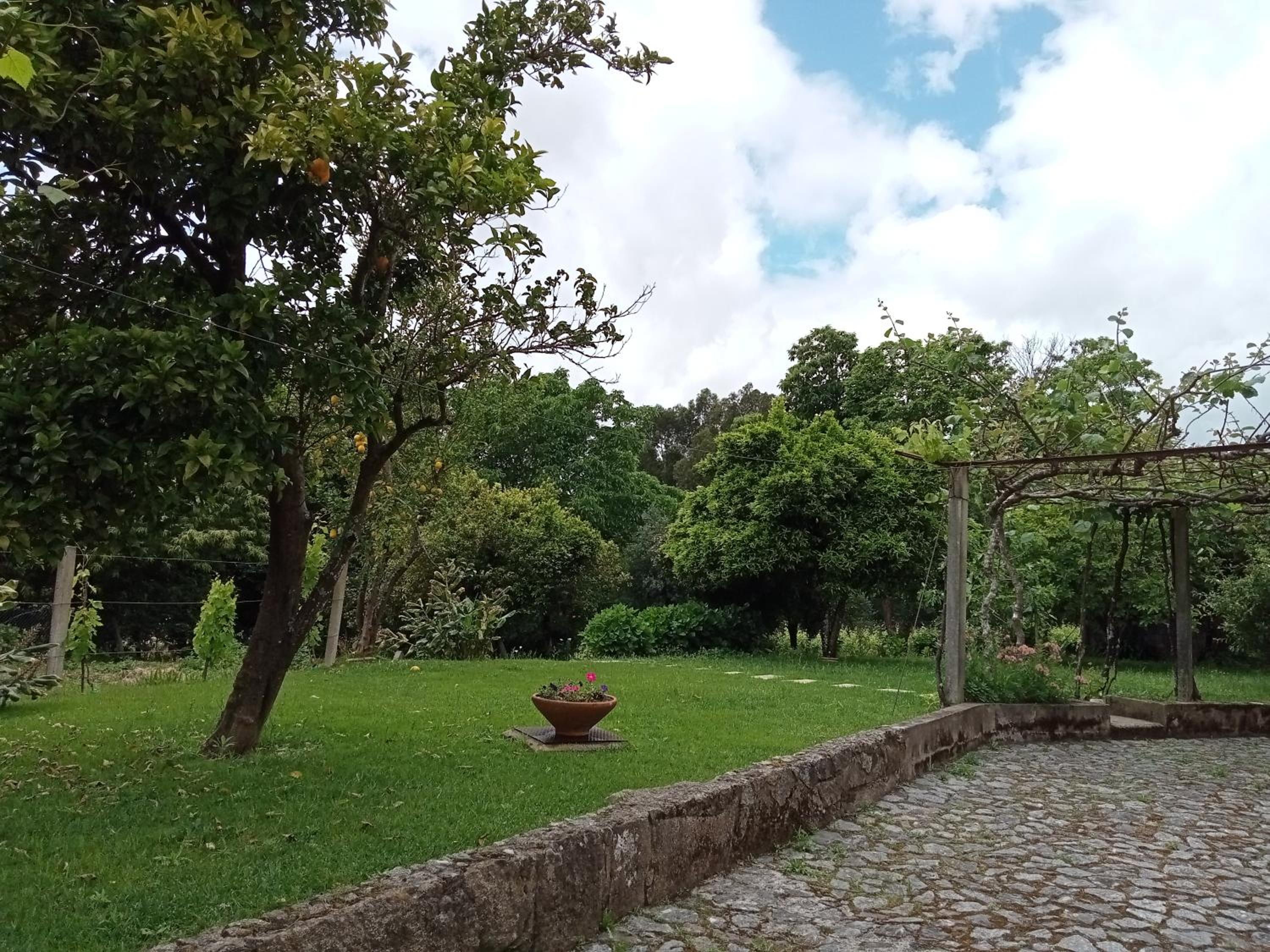 Casa das Guimarães view 4