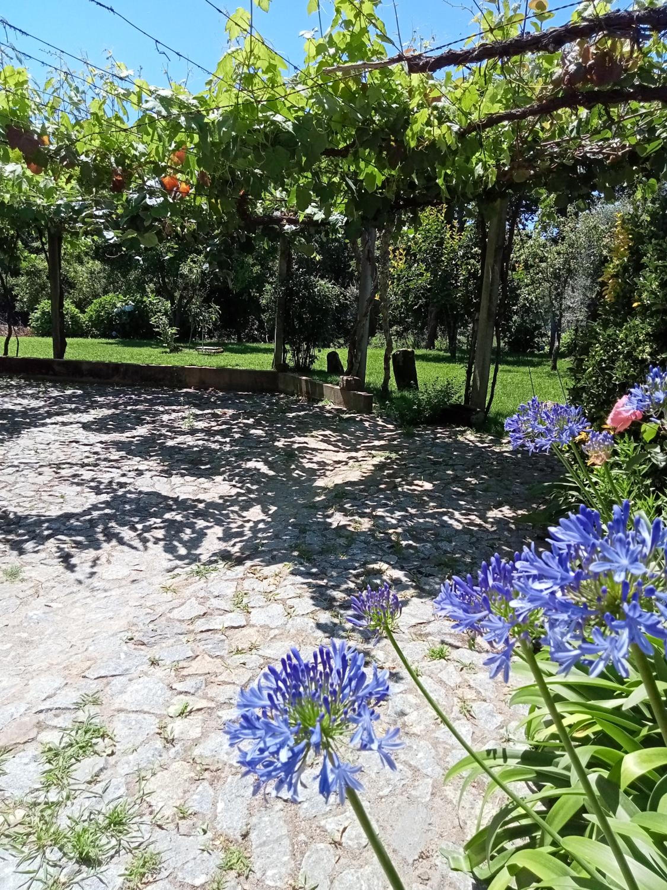 Casa das Guimarães view 5