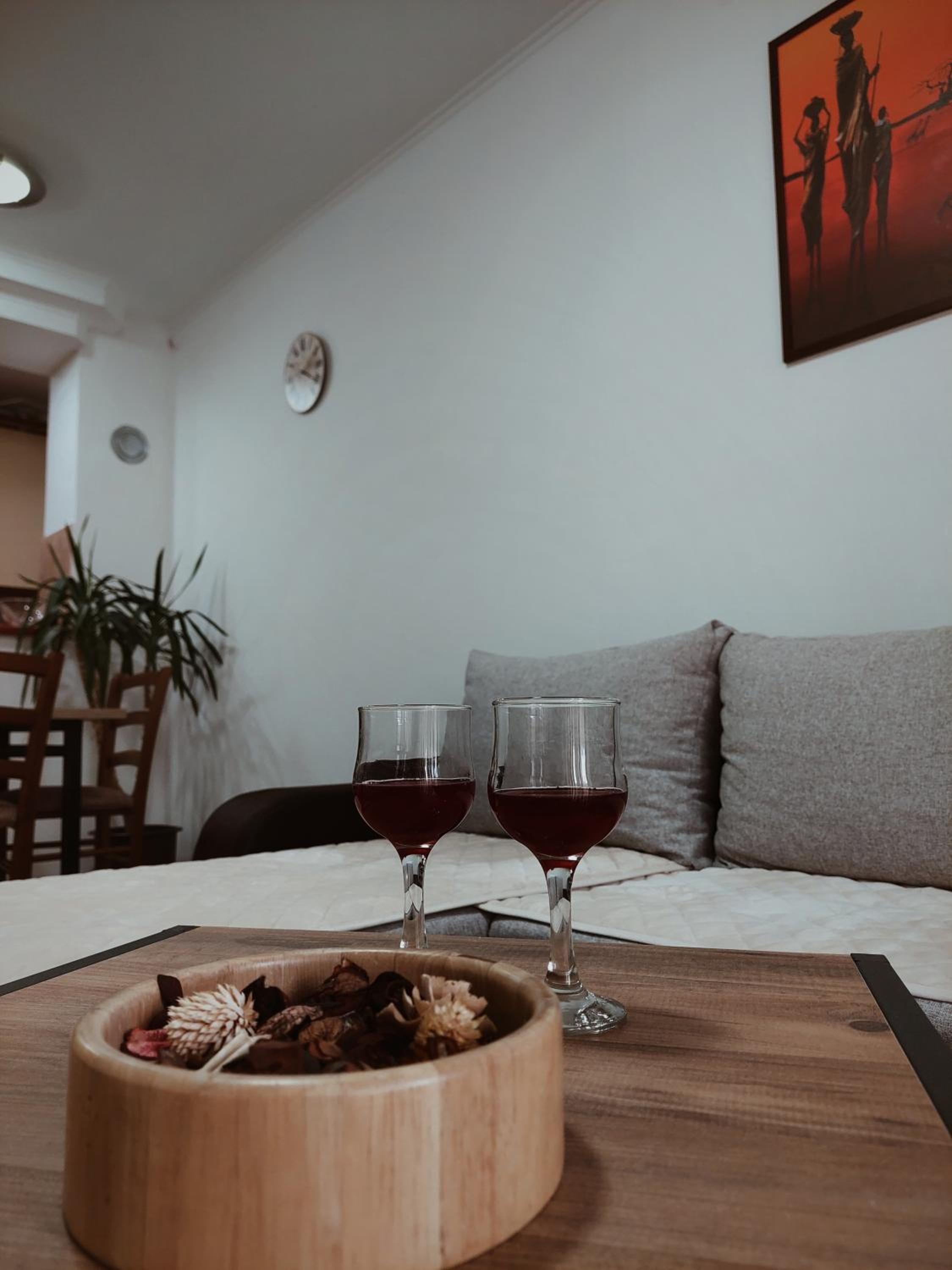 Apartman Harmonija view 4