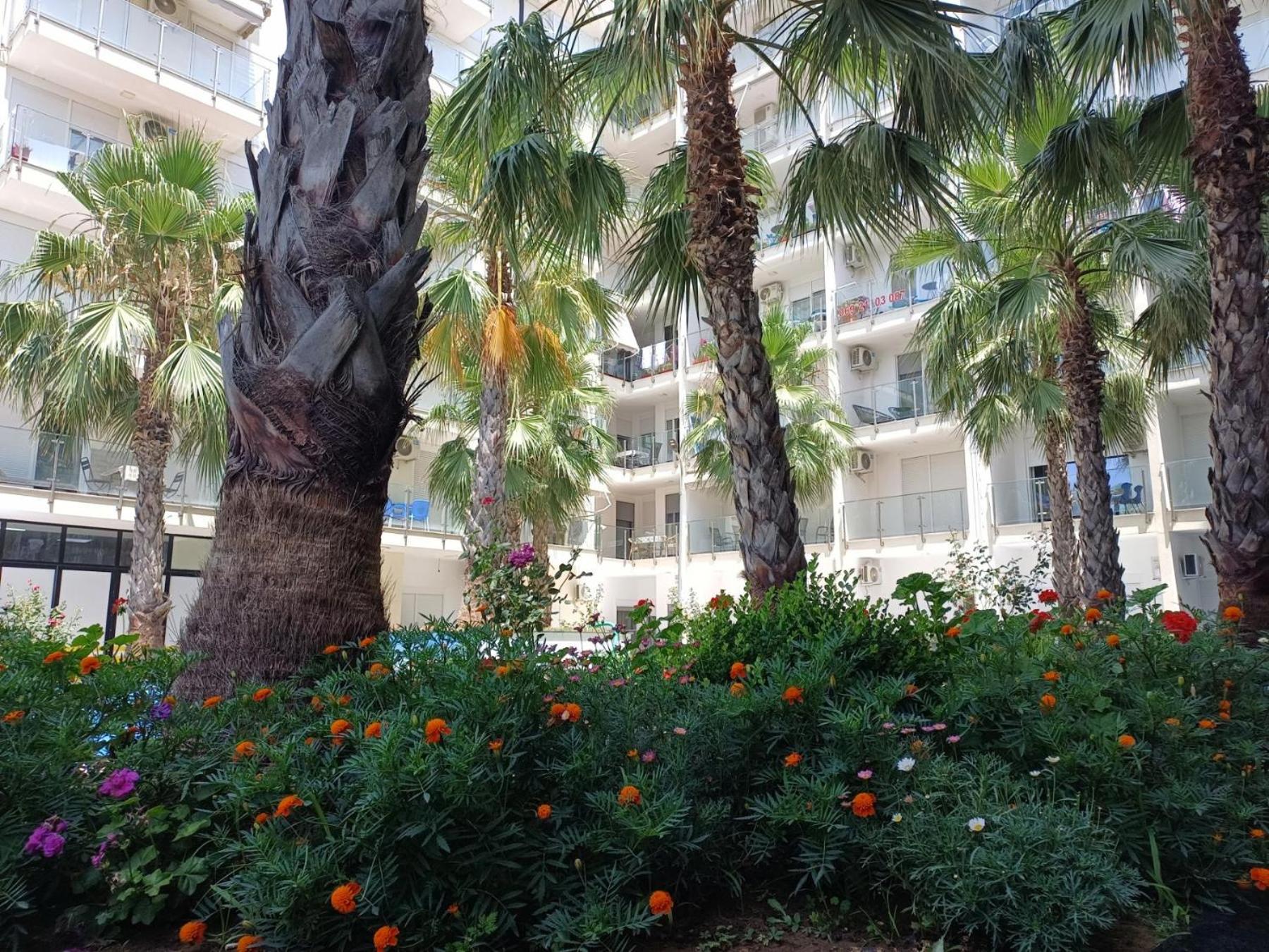 Sea view Apartment
