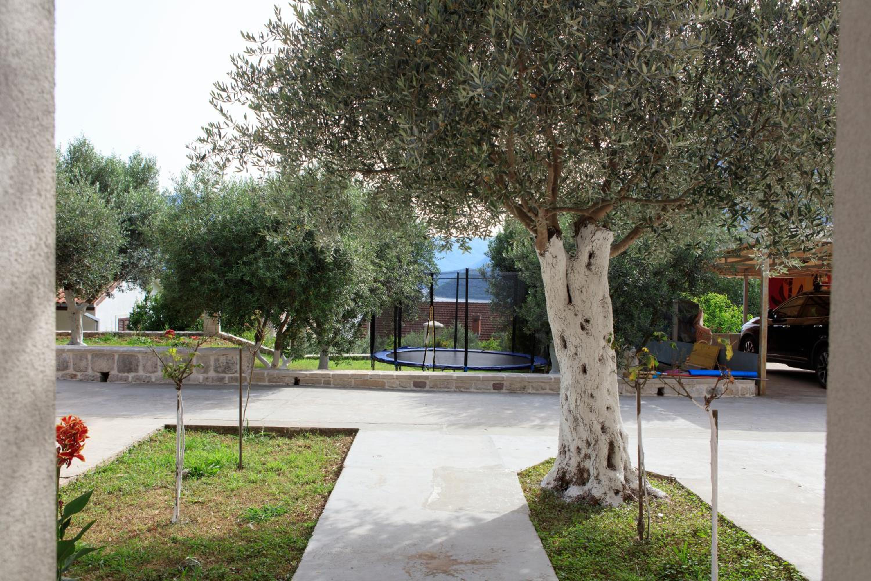 Apartment Olive Risan