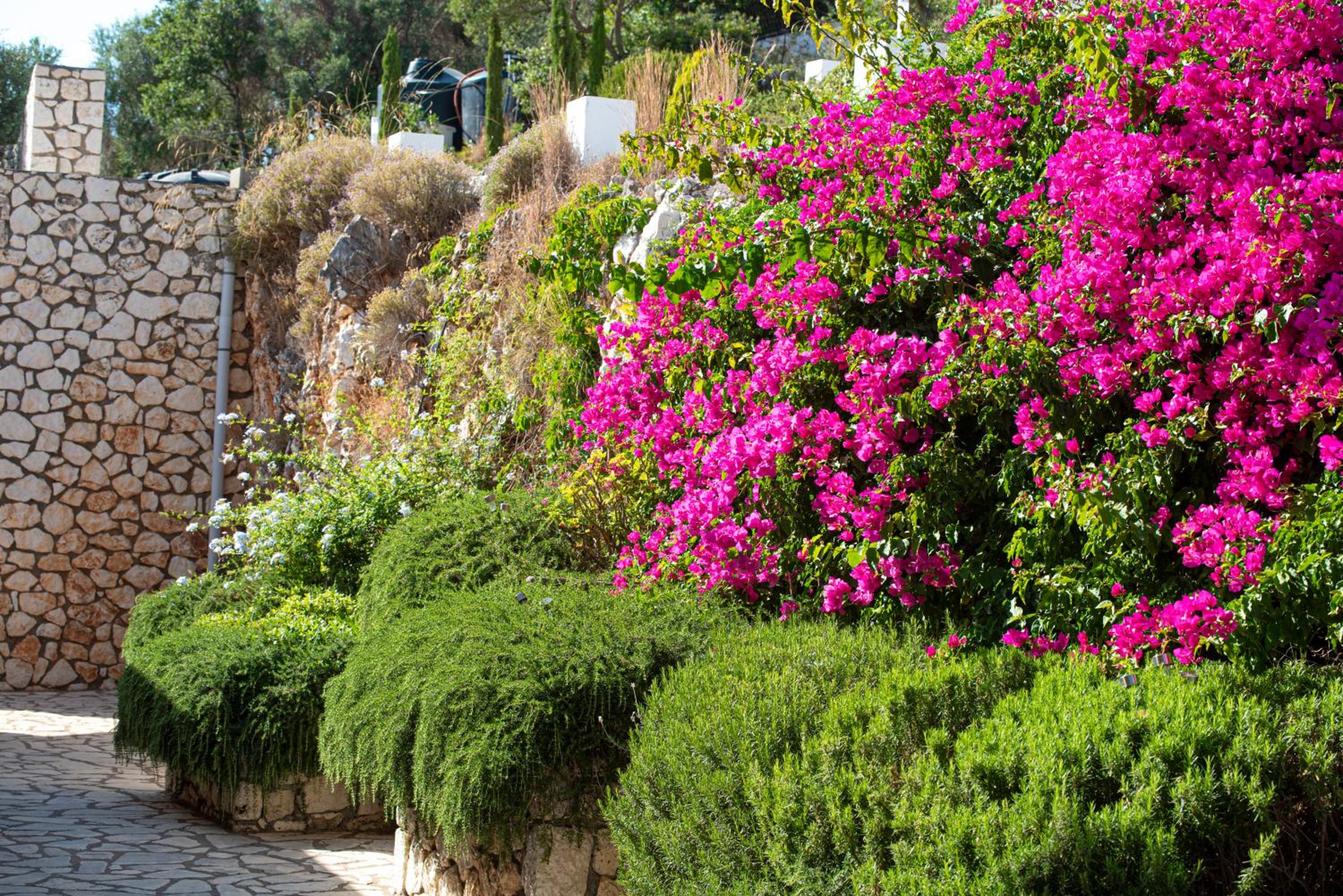 Adamas Villa