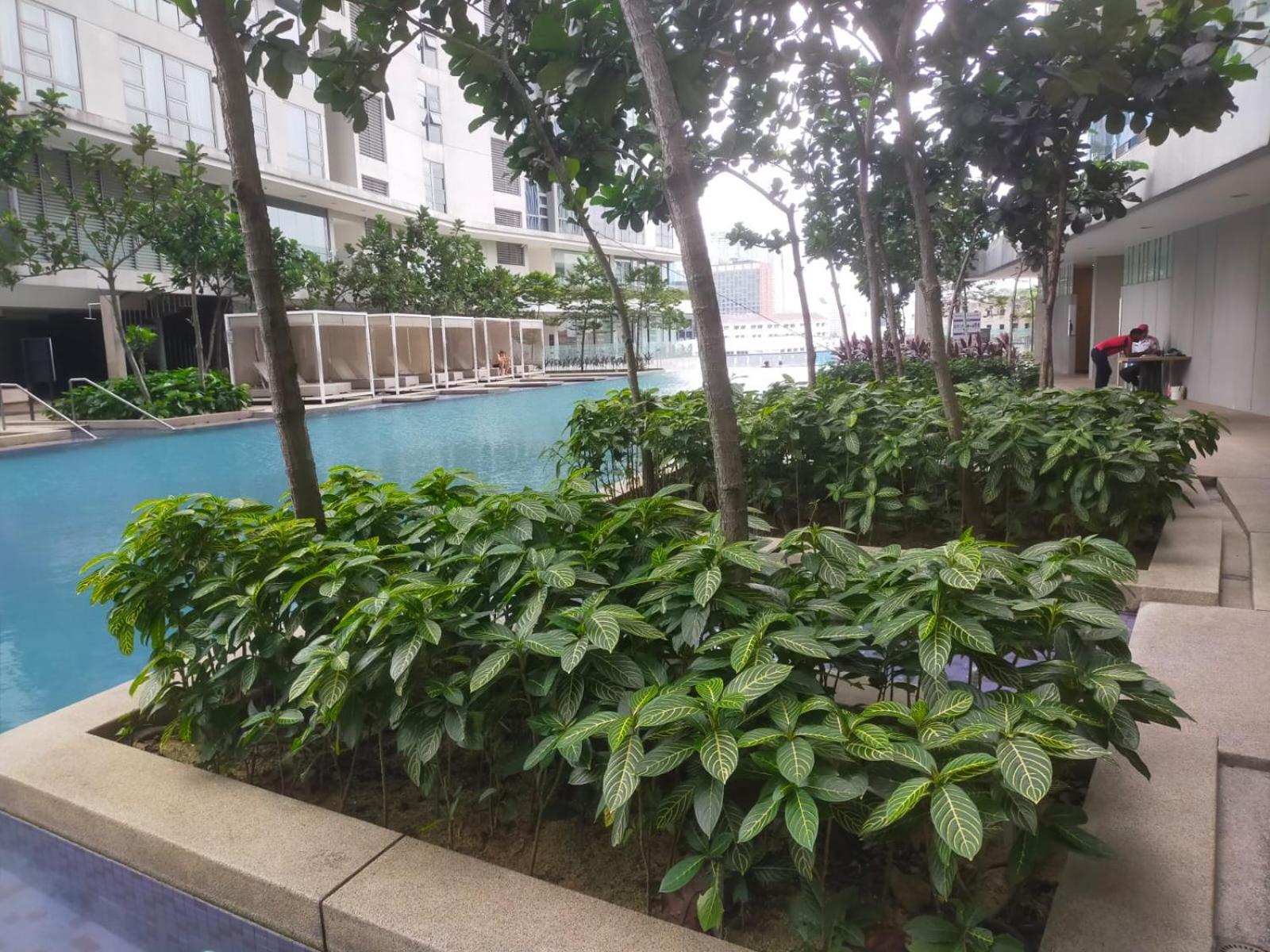 2-Bed Luxury Resort Robertson