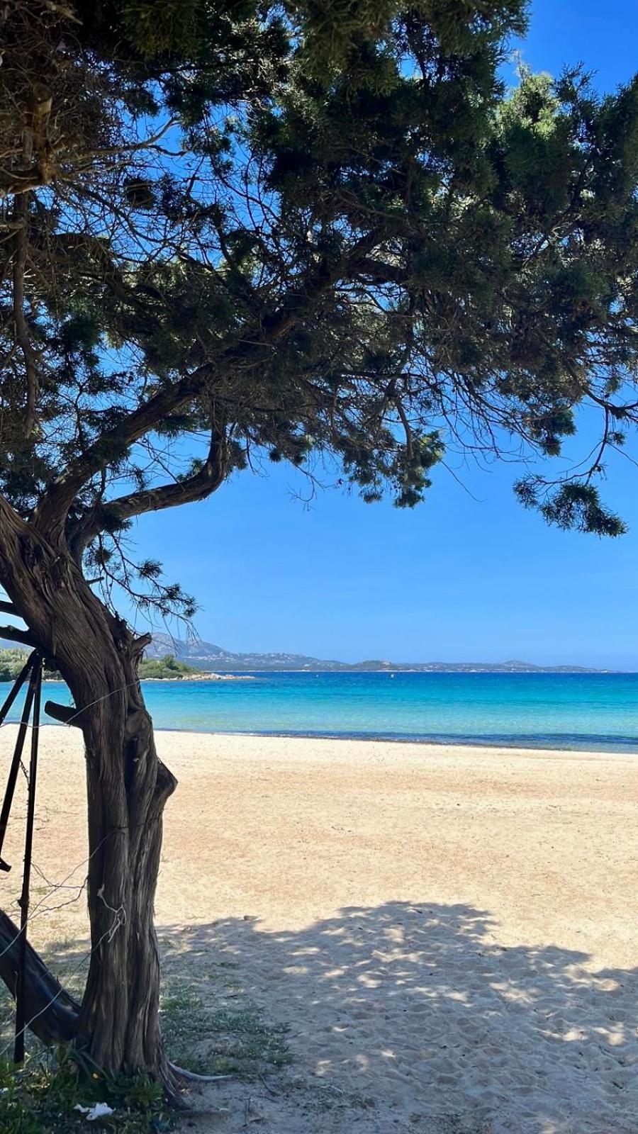 LE TERRAZZE Porto Rotondo view 4