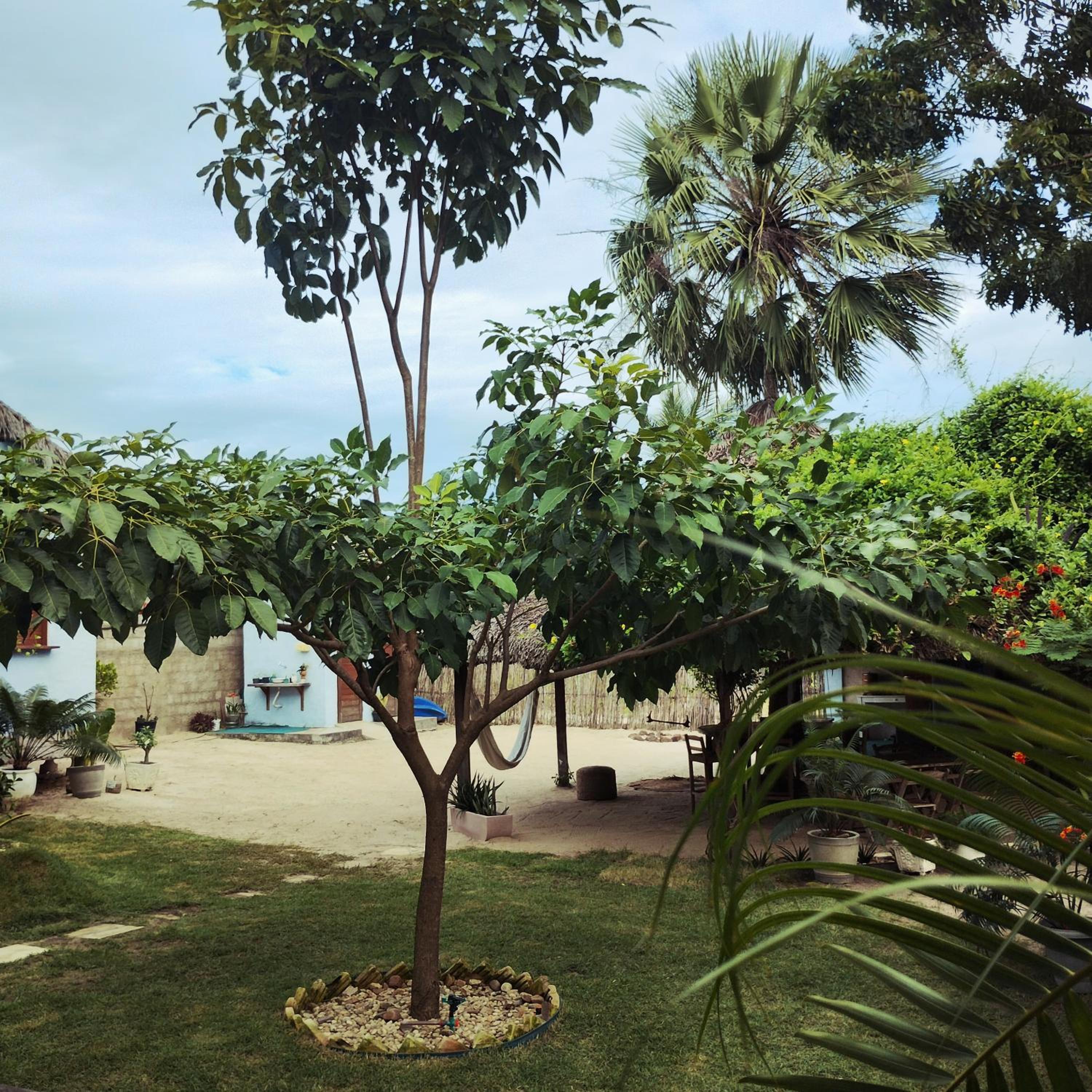Villa Piauí