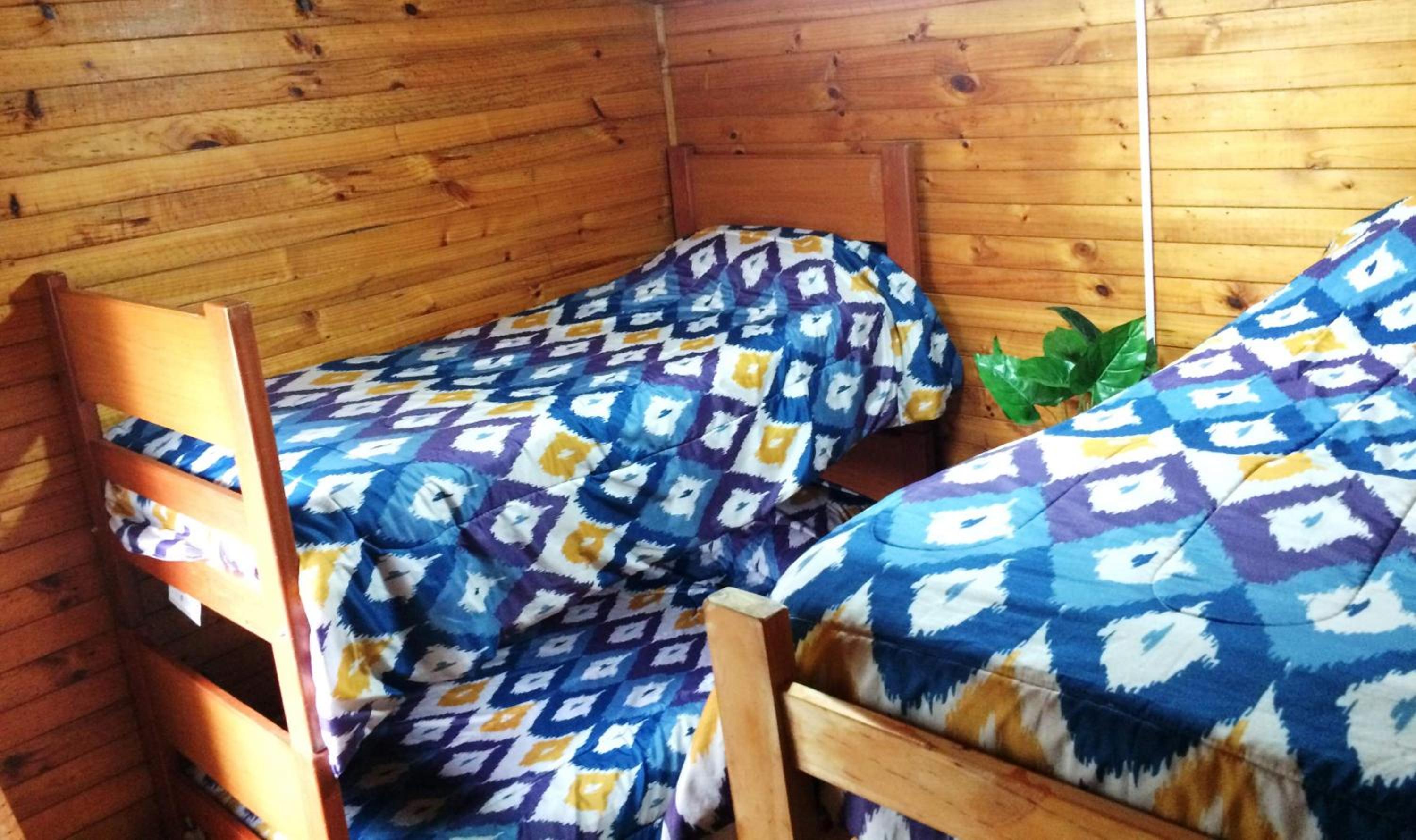 CASA con piscina temperada, tinaja y quincho próxima a Playa Sn Alfonso