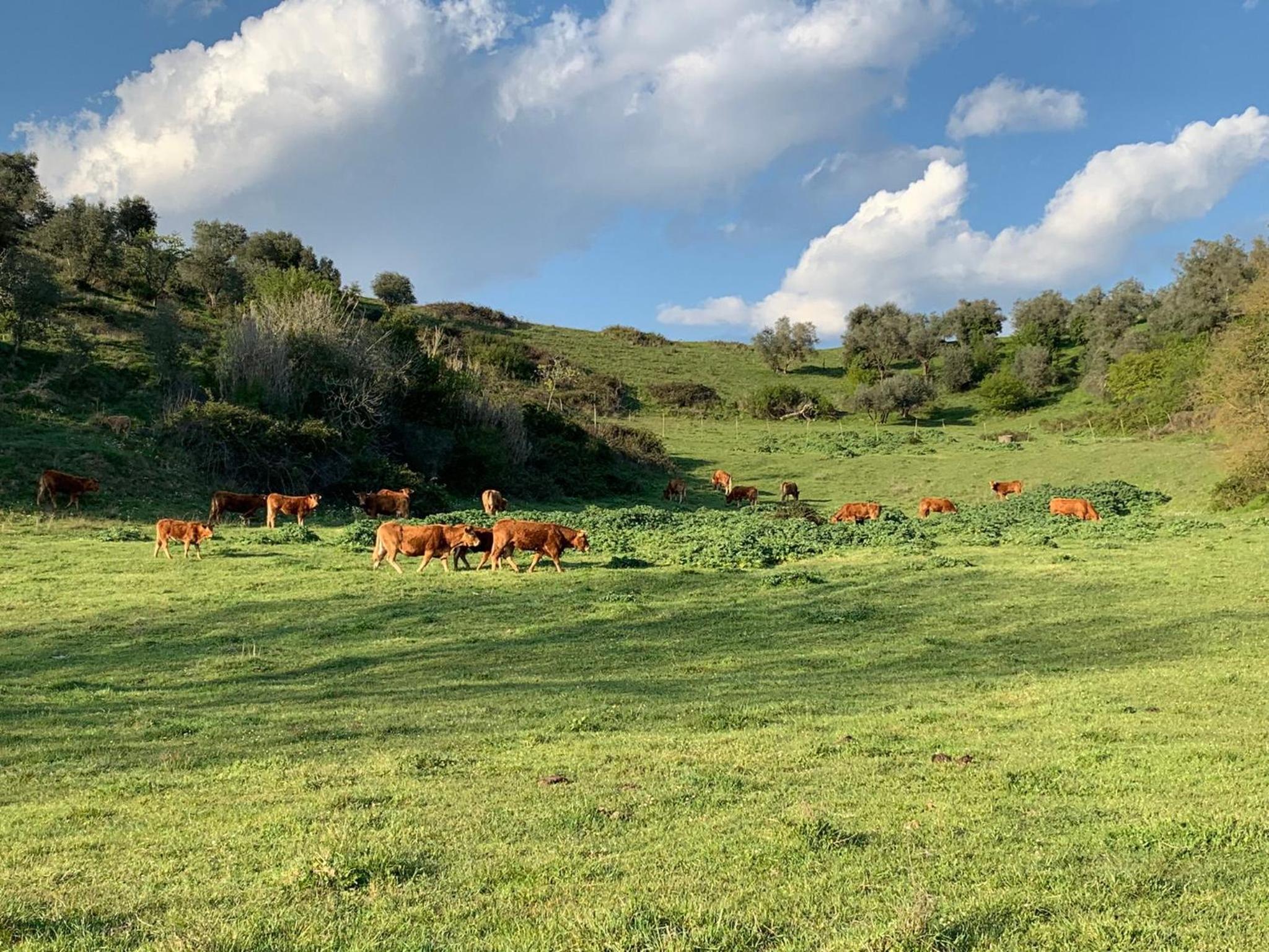 Agriturismo Polgara