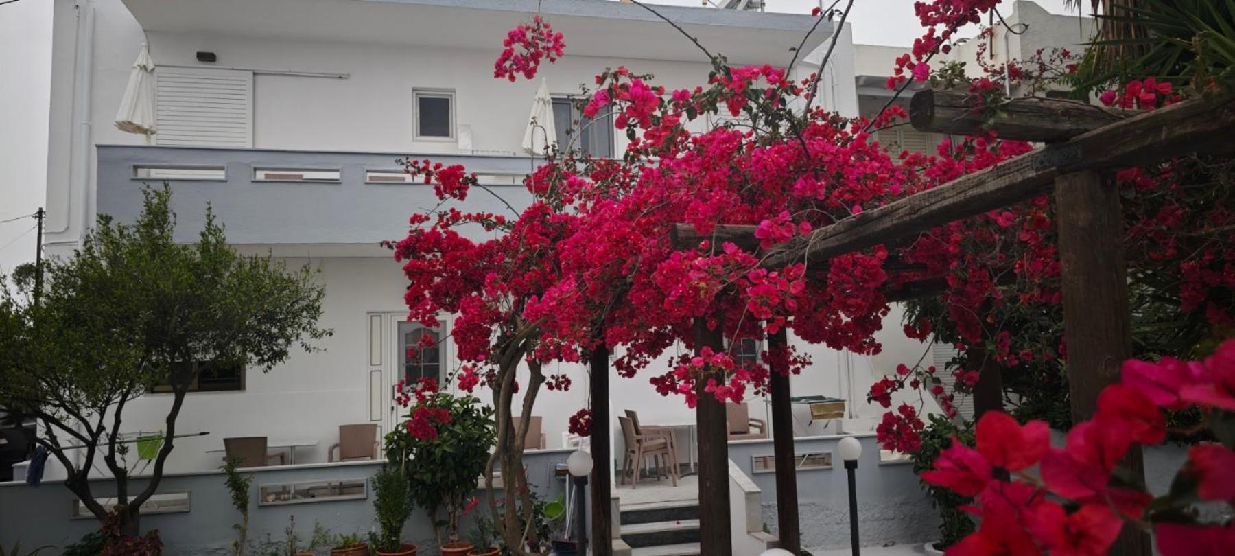 Agrellis Apartments photo 2