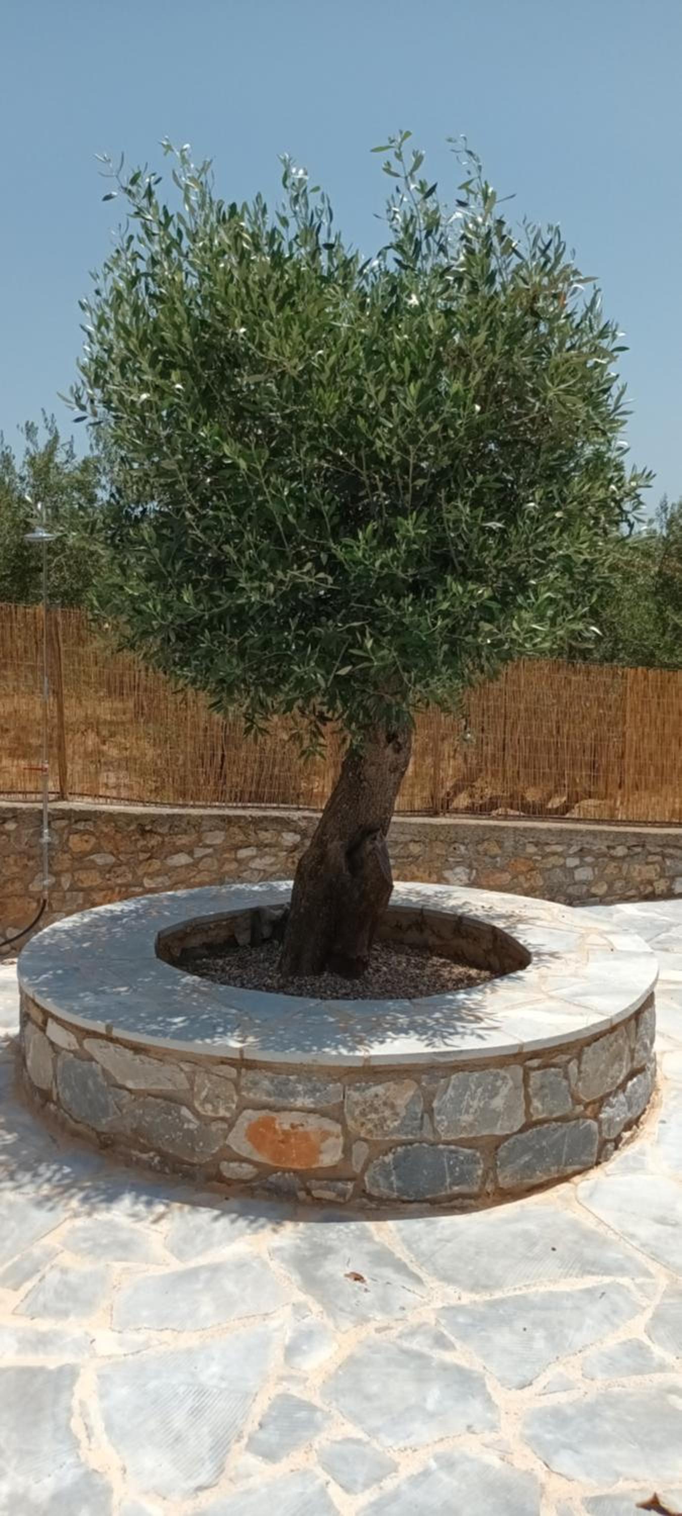 Vitilo sweet home view 2