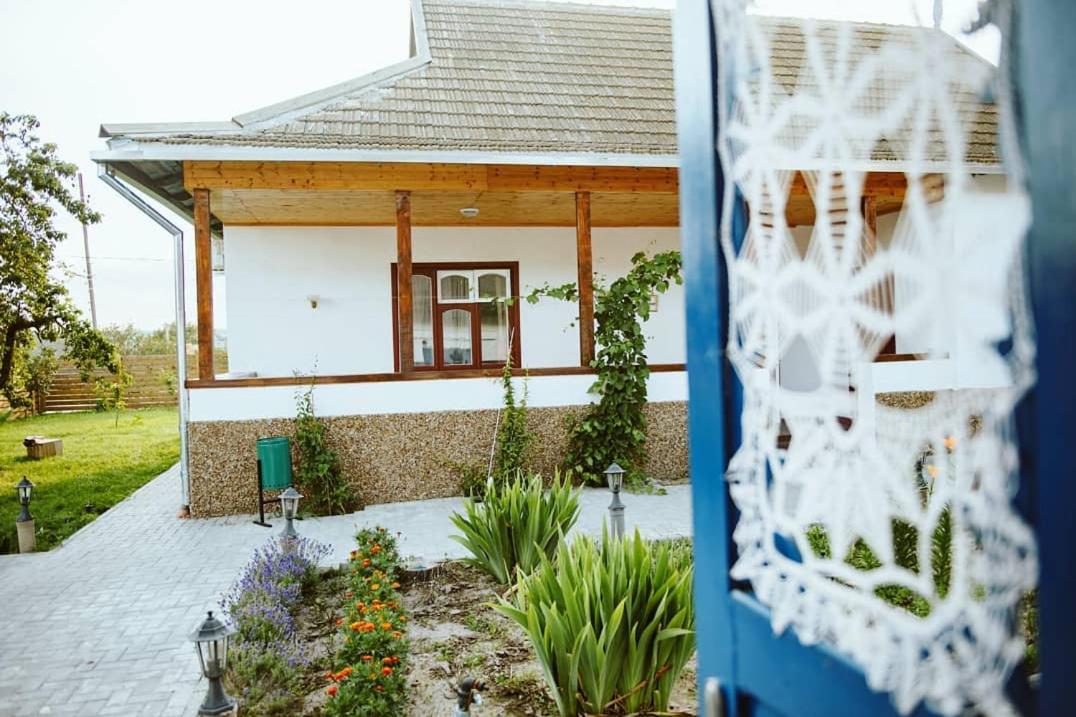 Pensiunea Casa Veche