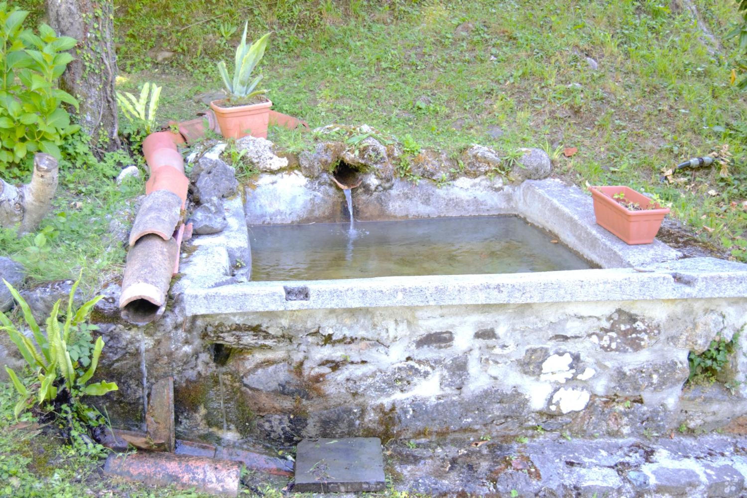 Casa Vacanze IL BOSCACCIO "Casa Serena"