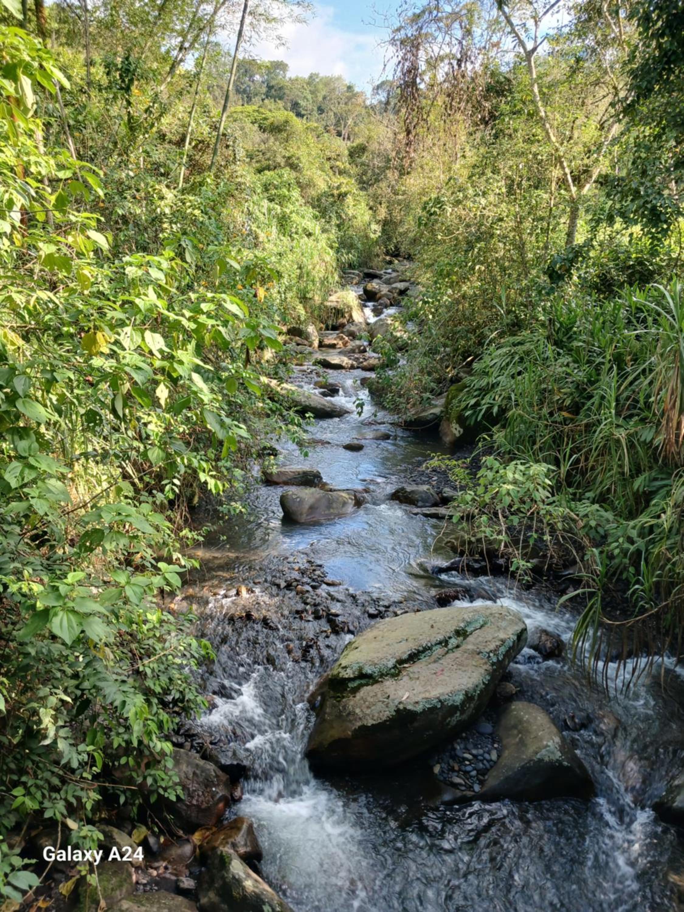 EL Refugio