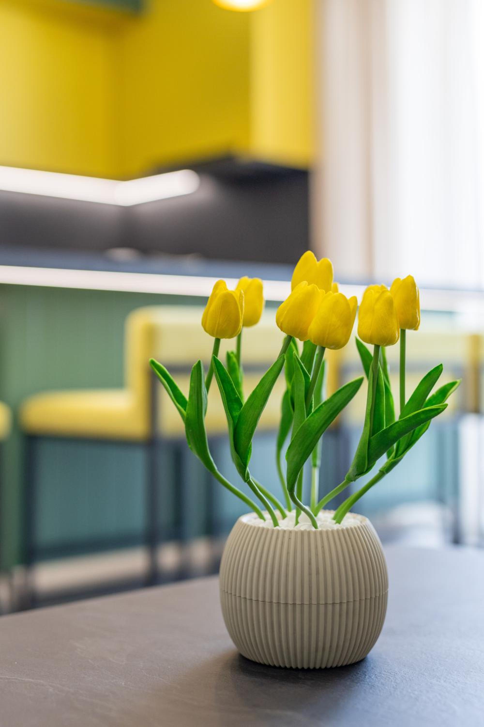 The view - Mimosa, Luxury, Central, Free Parking