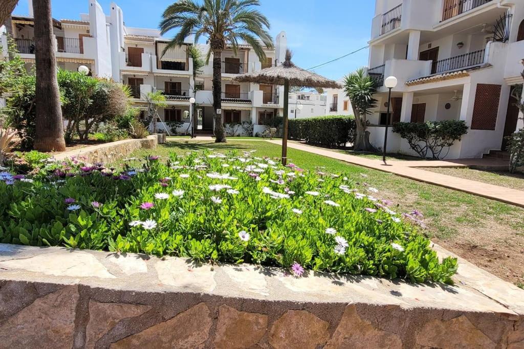 Penthouse Las Velas photo 3
