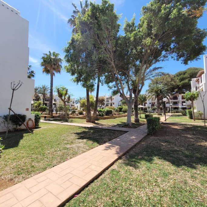 Penthouse Las Velas photo 4