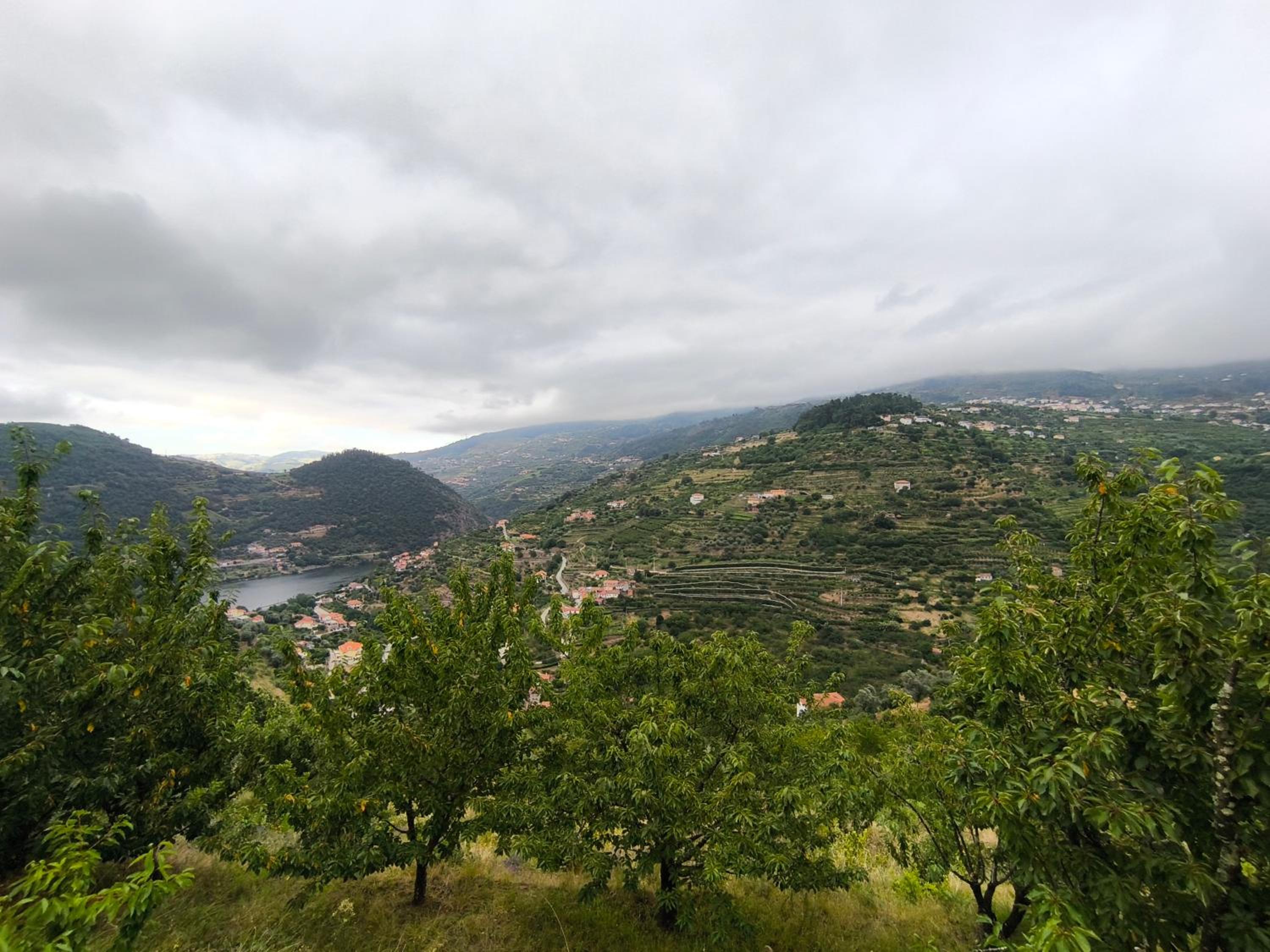 Quinta do Tojo view 2