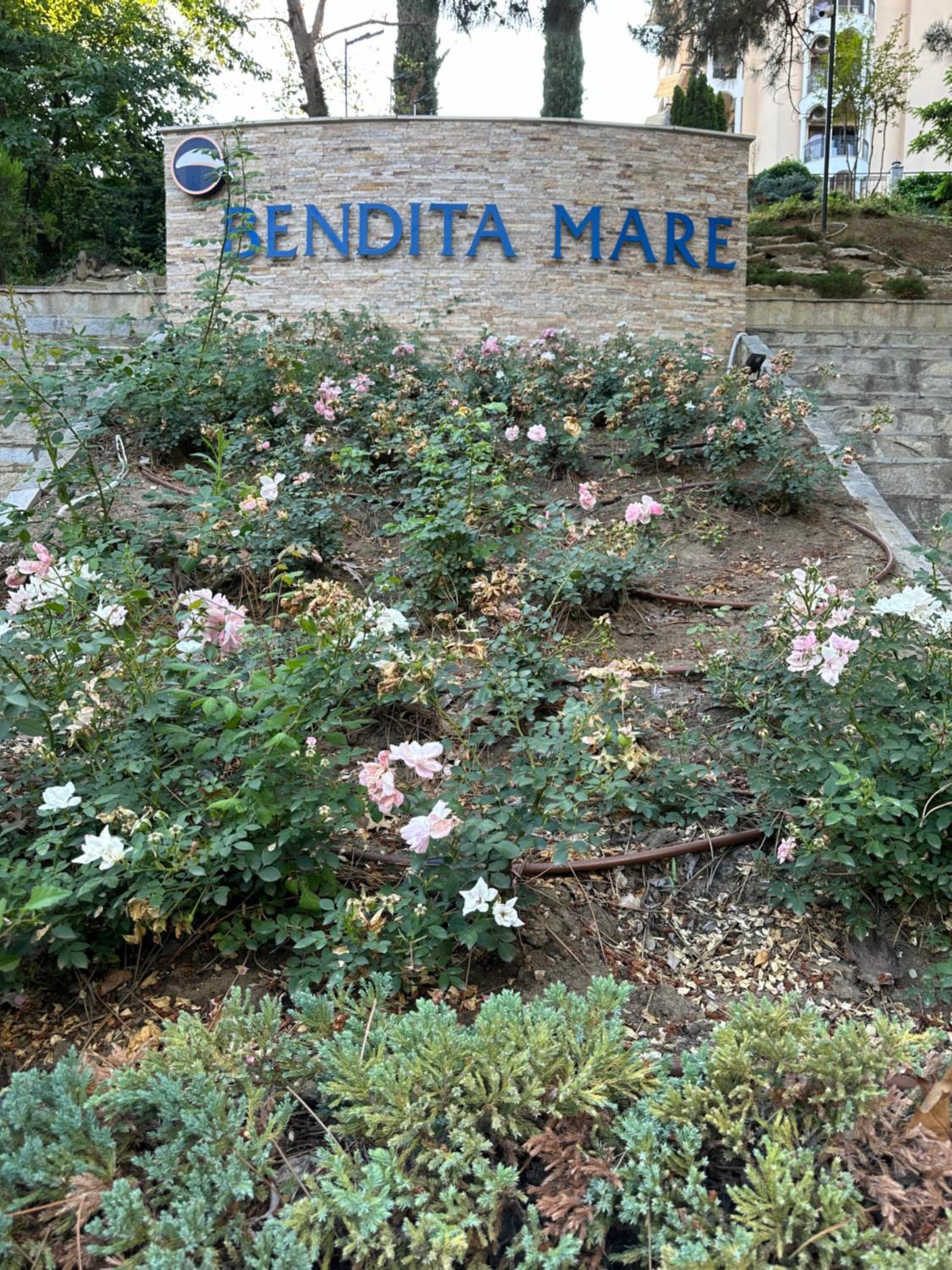 Golden Sands - Bendita Mare