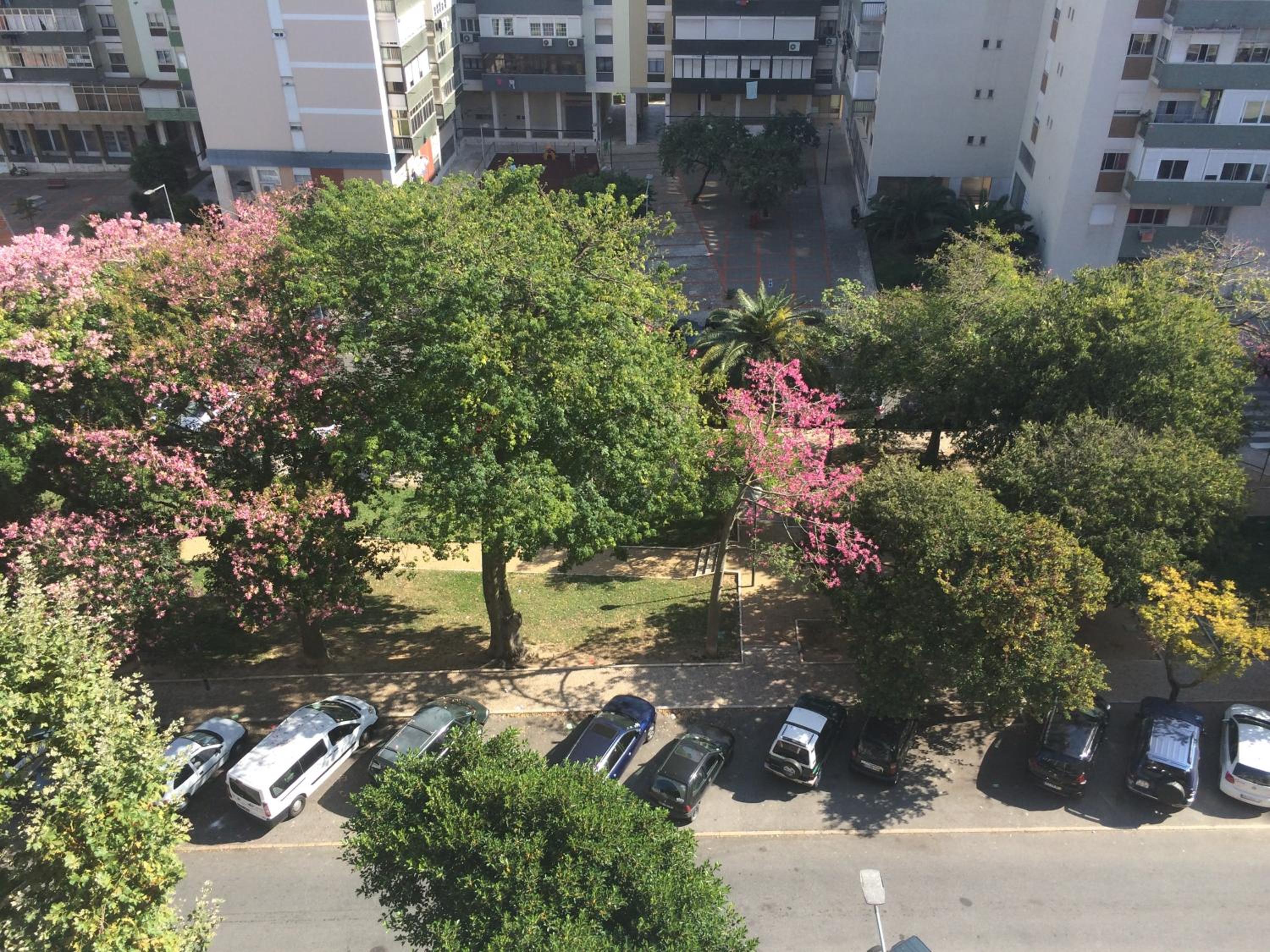 Home2Home Lisbon view 4