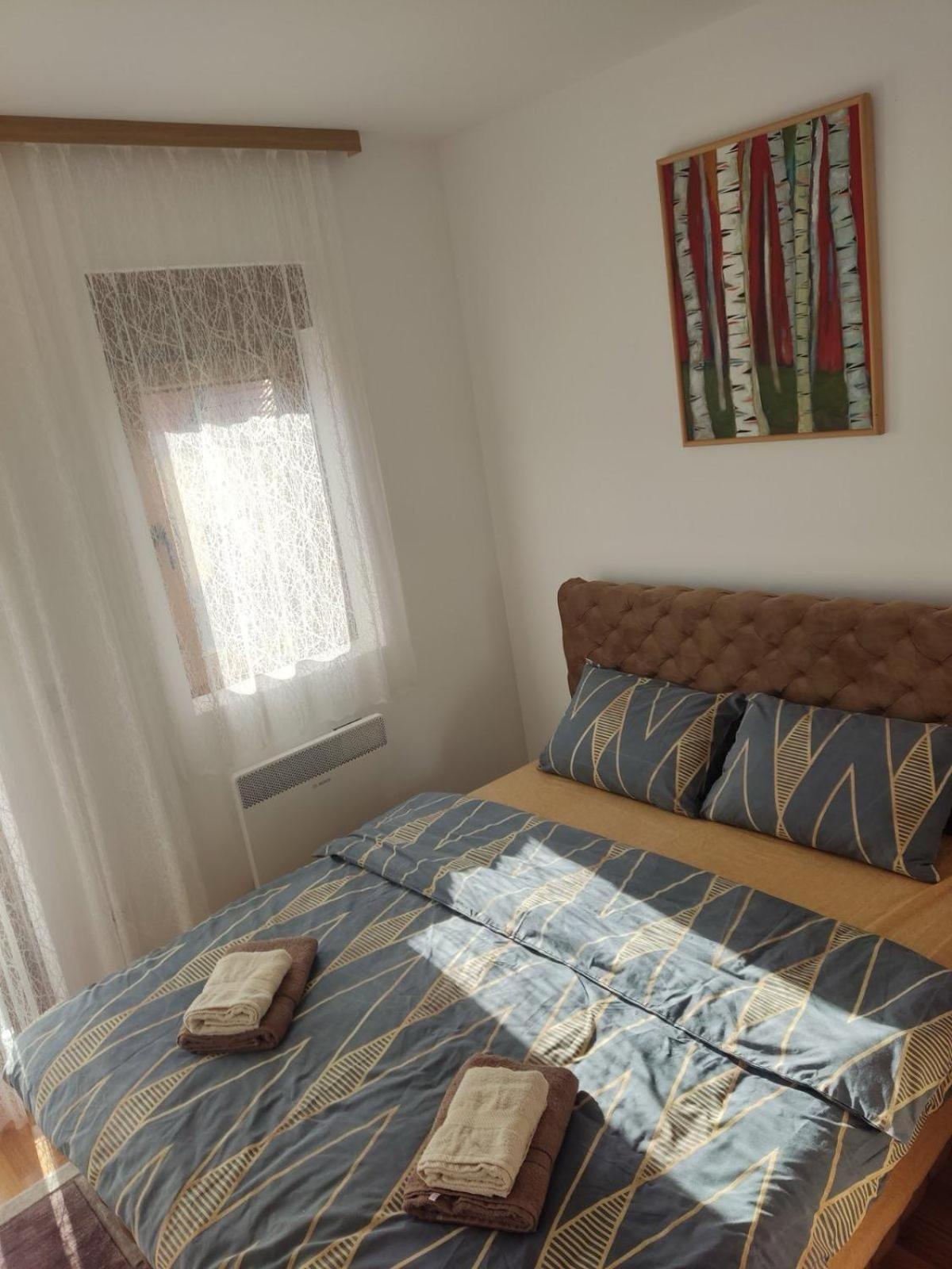 Lux Apartman Gajic Spa view 5