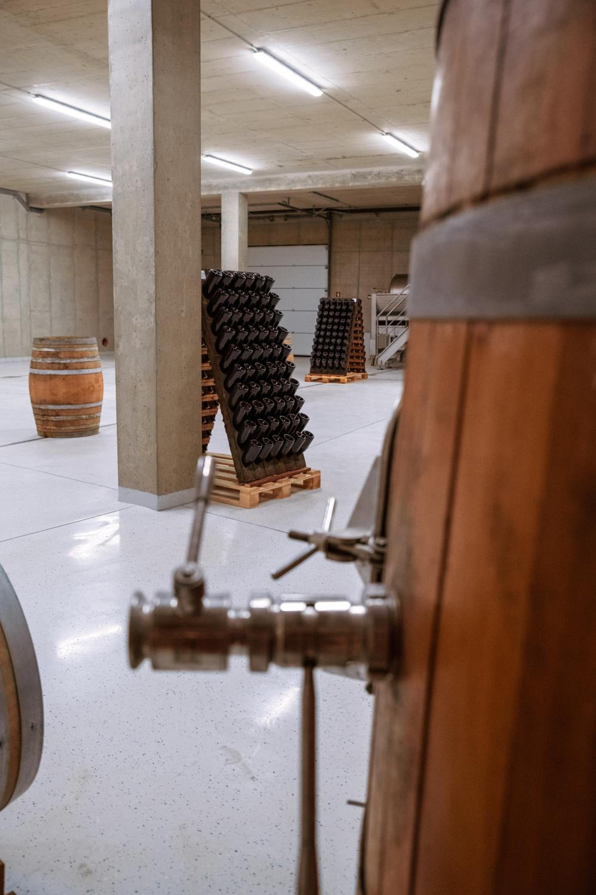 Posestvo Ščurek wine