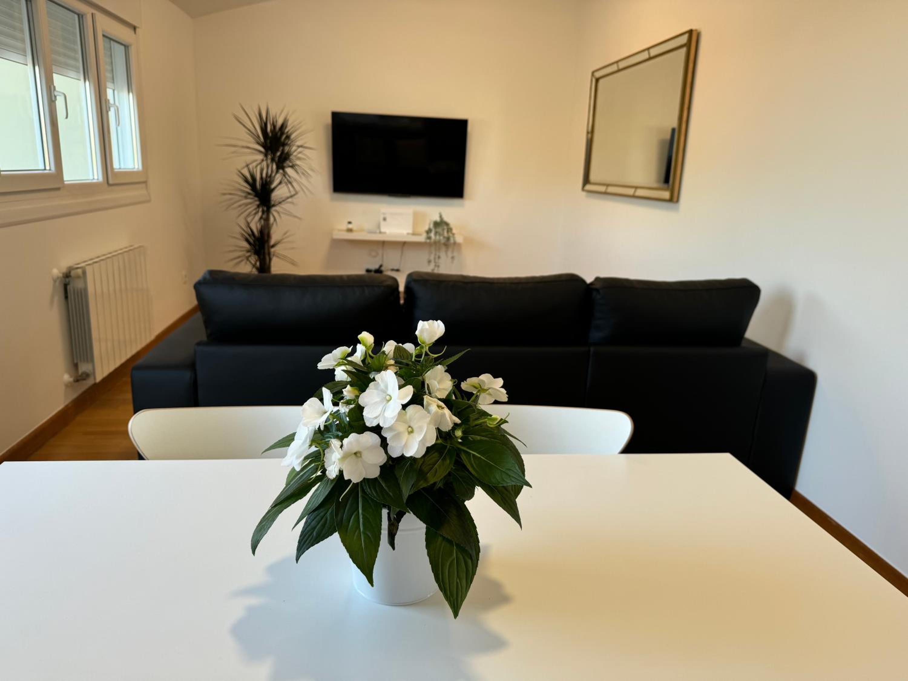 Apartamentos Olga Cantabria 2