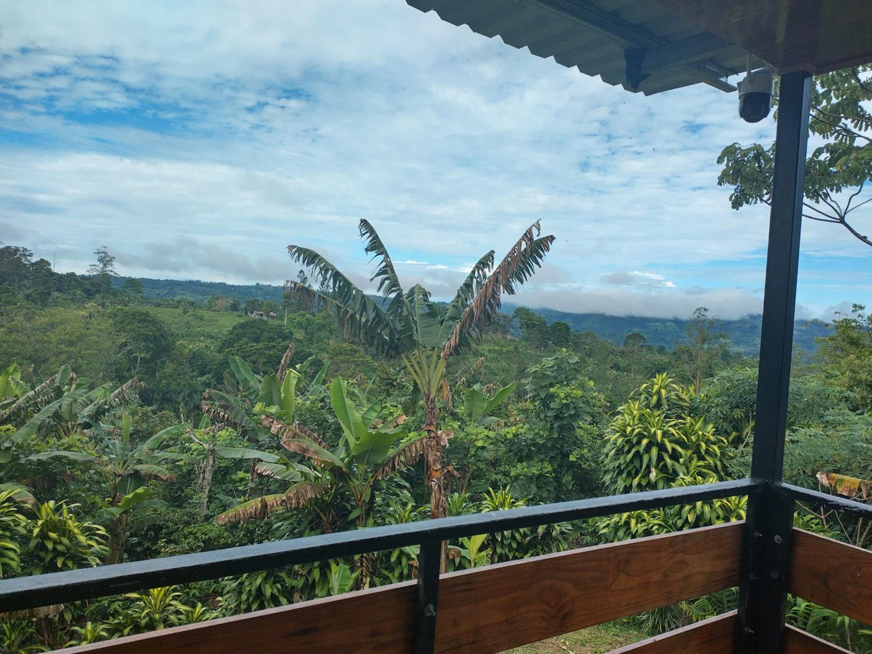 Casita café