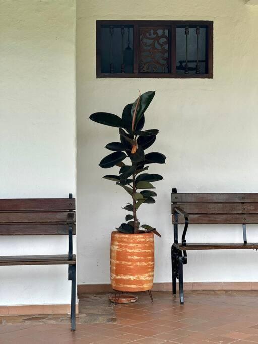 Villa privada Eje Cafetero