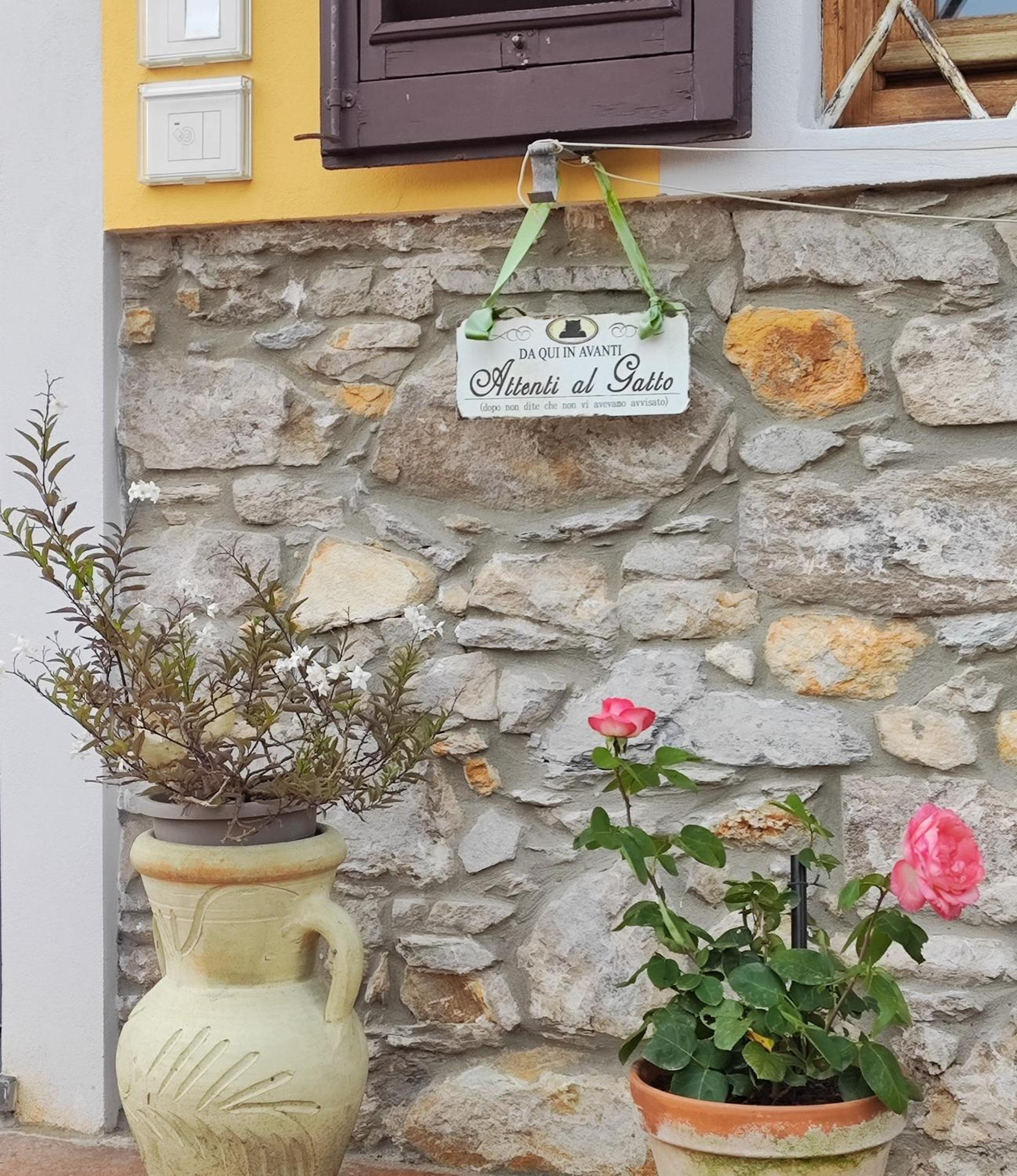 B&B Toringo view 5