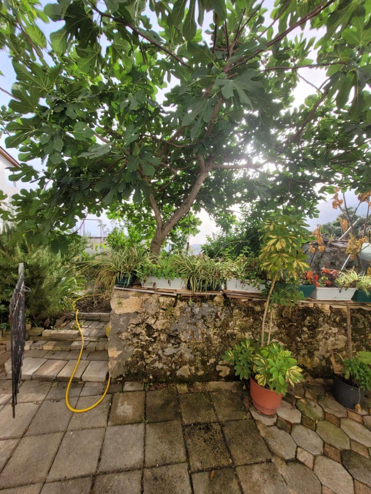 Summer Vibes House photo 2