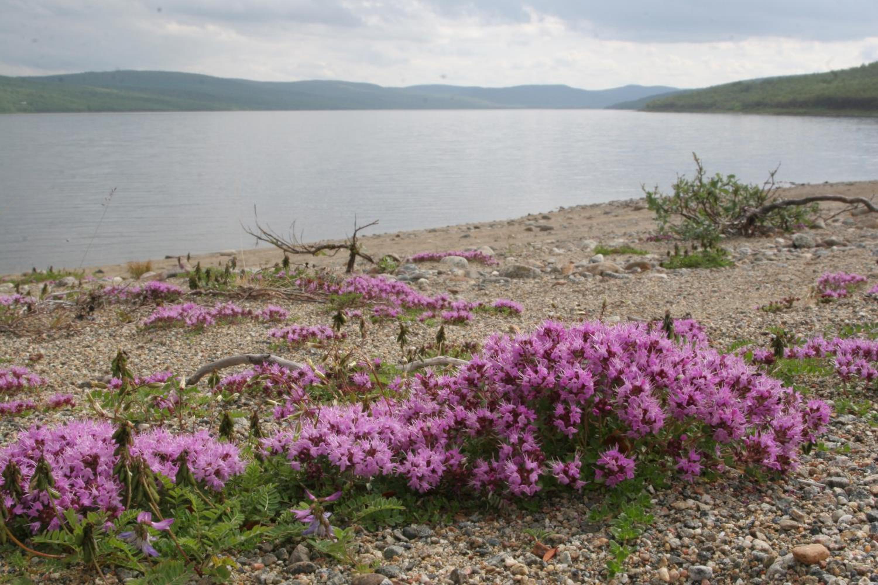 Holiday Village Nuorgamin Lomakeskus